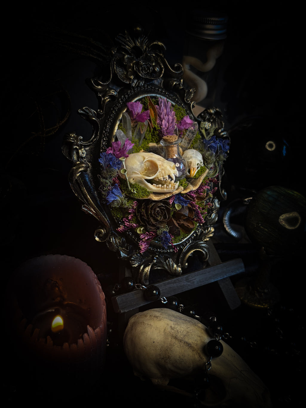 Handmade gothic shadowbox with bat skull, mouse skull and amethyst crystal vial in ornate black and gold frame | Morbid Oddities
