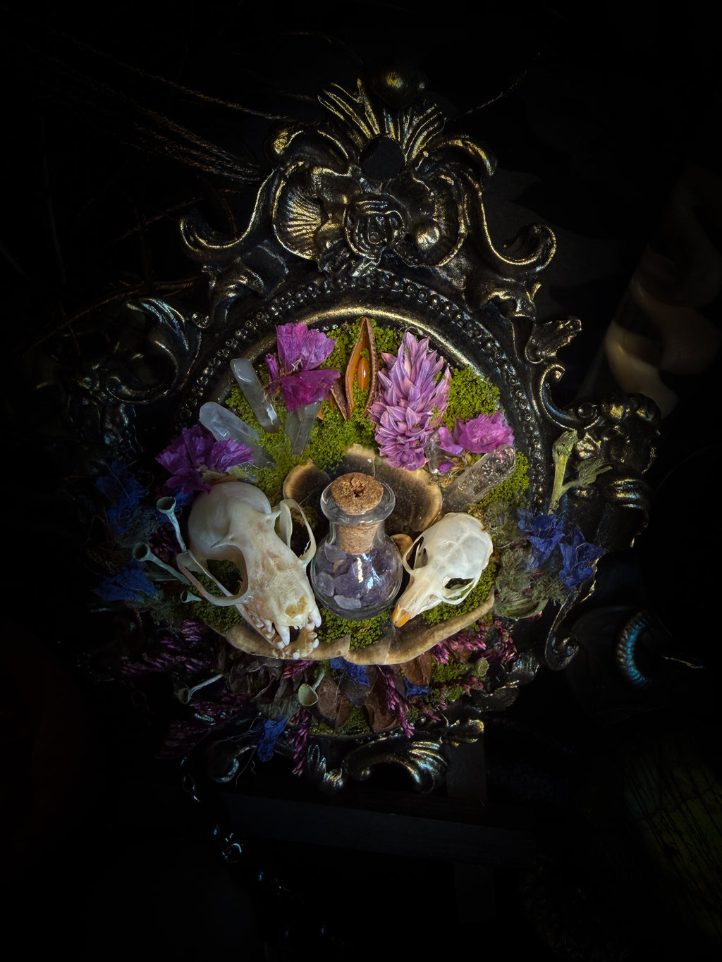 Handmade gothic shadowbox with bat skull, mouse skull and amethyst crystal vial in ornate black and gold frame | Morbid Oddities