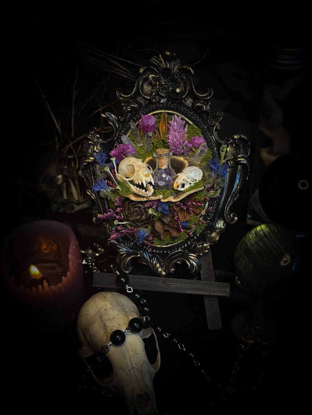 Handmade gothic shadowbox with bat skull, mouse skull and amethyst crystal vial in ornate black and gold frame | Morbid Oddities