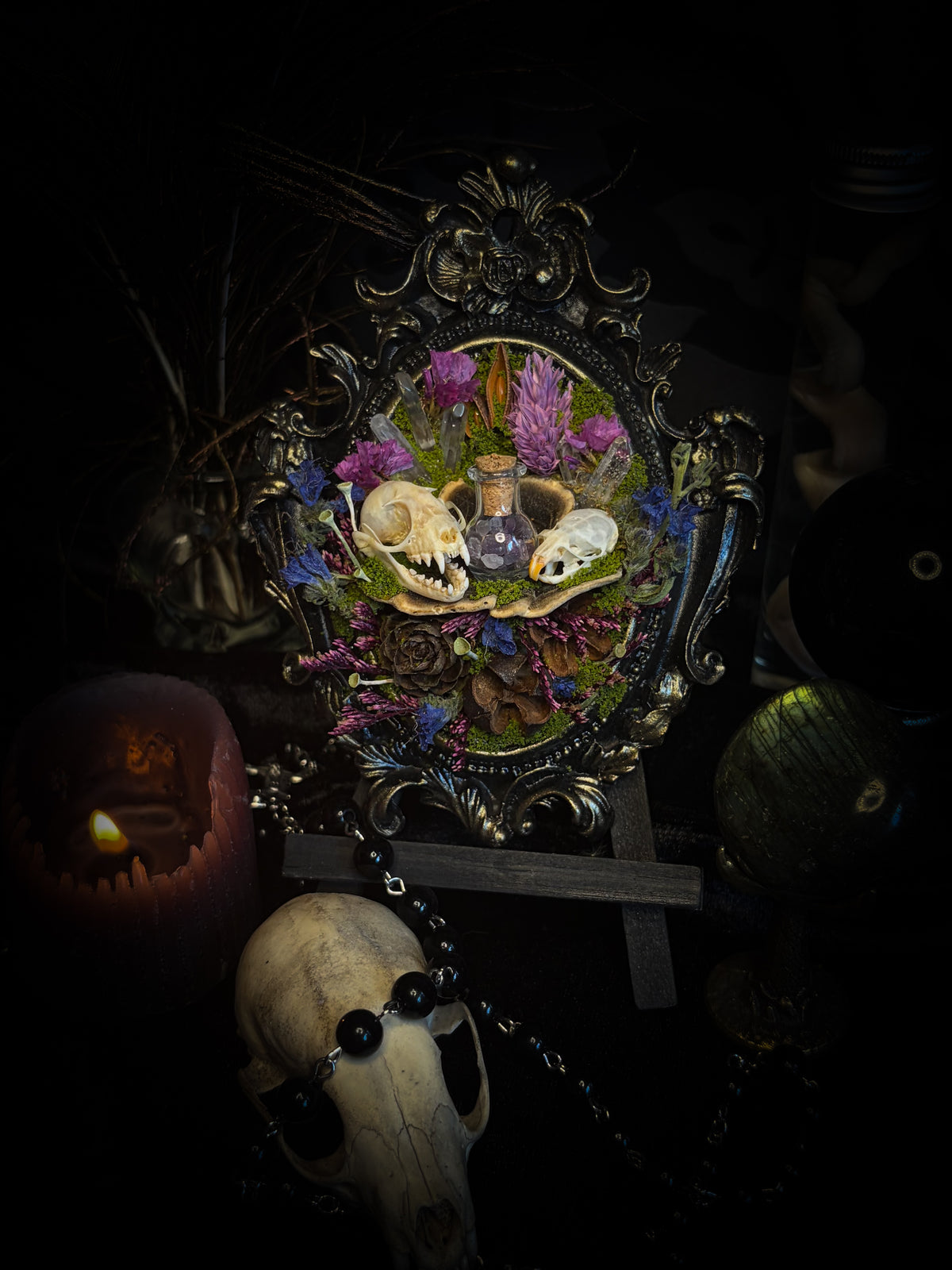 Handmade gothic shadowbox with bat skull, mouse skull and amethyst crystal vial in ornate black and gold frame | Morbid Oddities