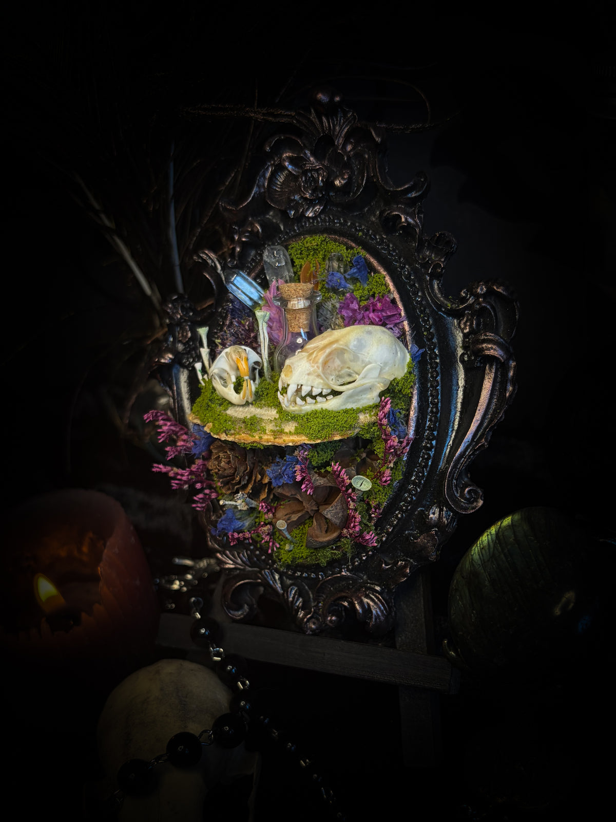 Handmade gothic shadowbox with bat skull, mouse skull and amethyst crystal vial in ornate black and gold frame | Morbid Oddities