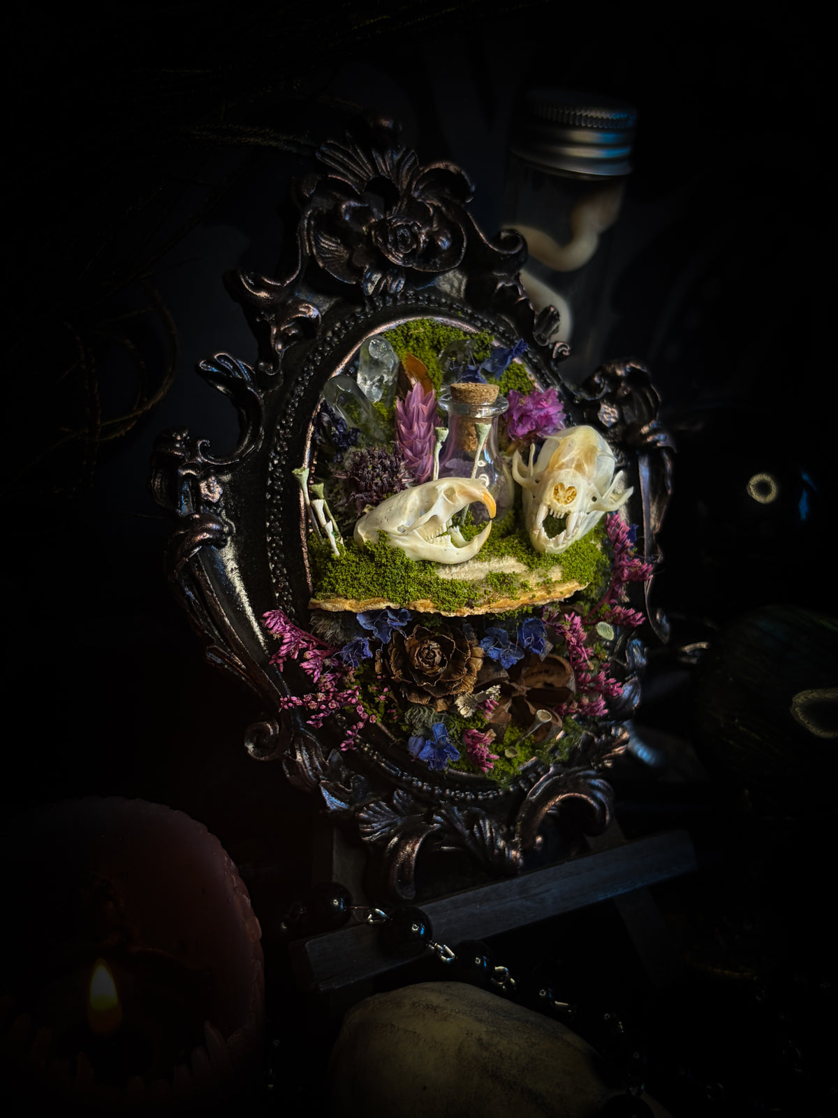 Handmade gothic shadowbox with bat skull, mouse skull and amethyst crystal vial in ornate black and gold frame | Morbid Oddities