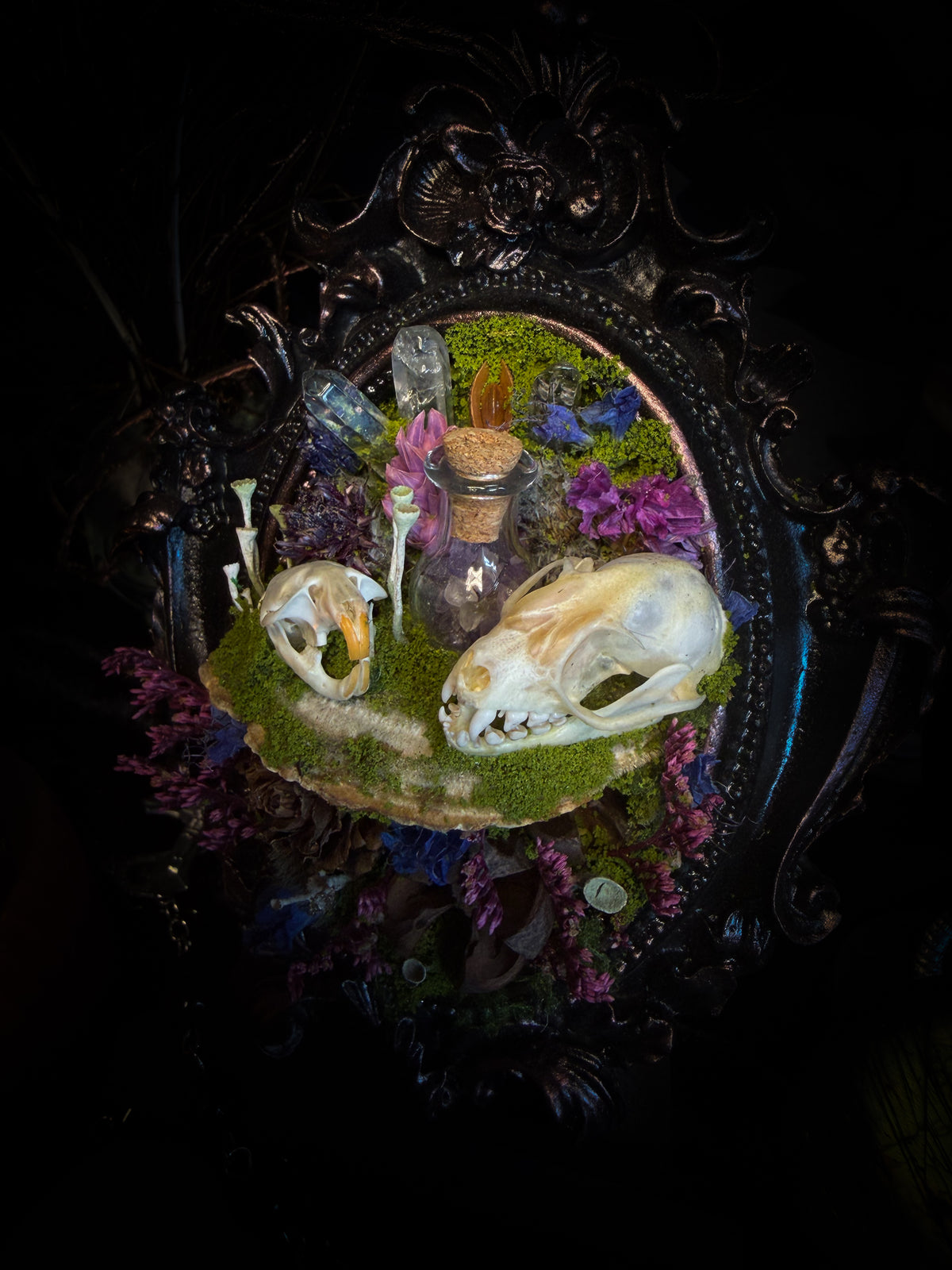 Handmade gothic shadowbox with bat skull, mouse skull and amethyst crystal vial in ornate black and gold frame | Morbid Oddities