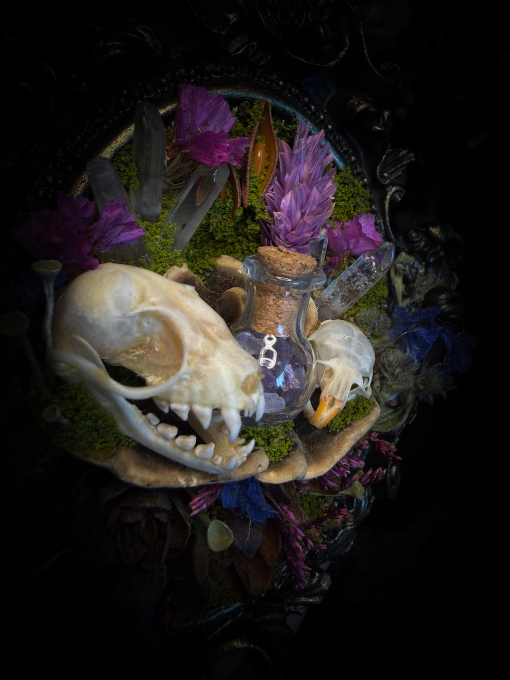 Handmade gothic shadowbox with bat skull, mouse skull and amethyst crystal vial in ornate black and gold frame | Morbid Oddities
