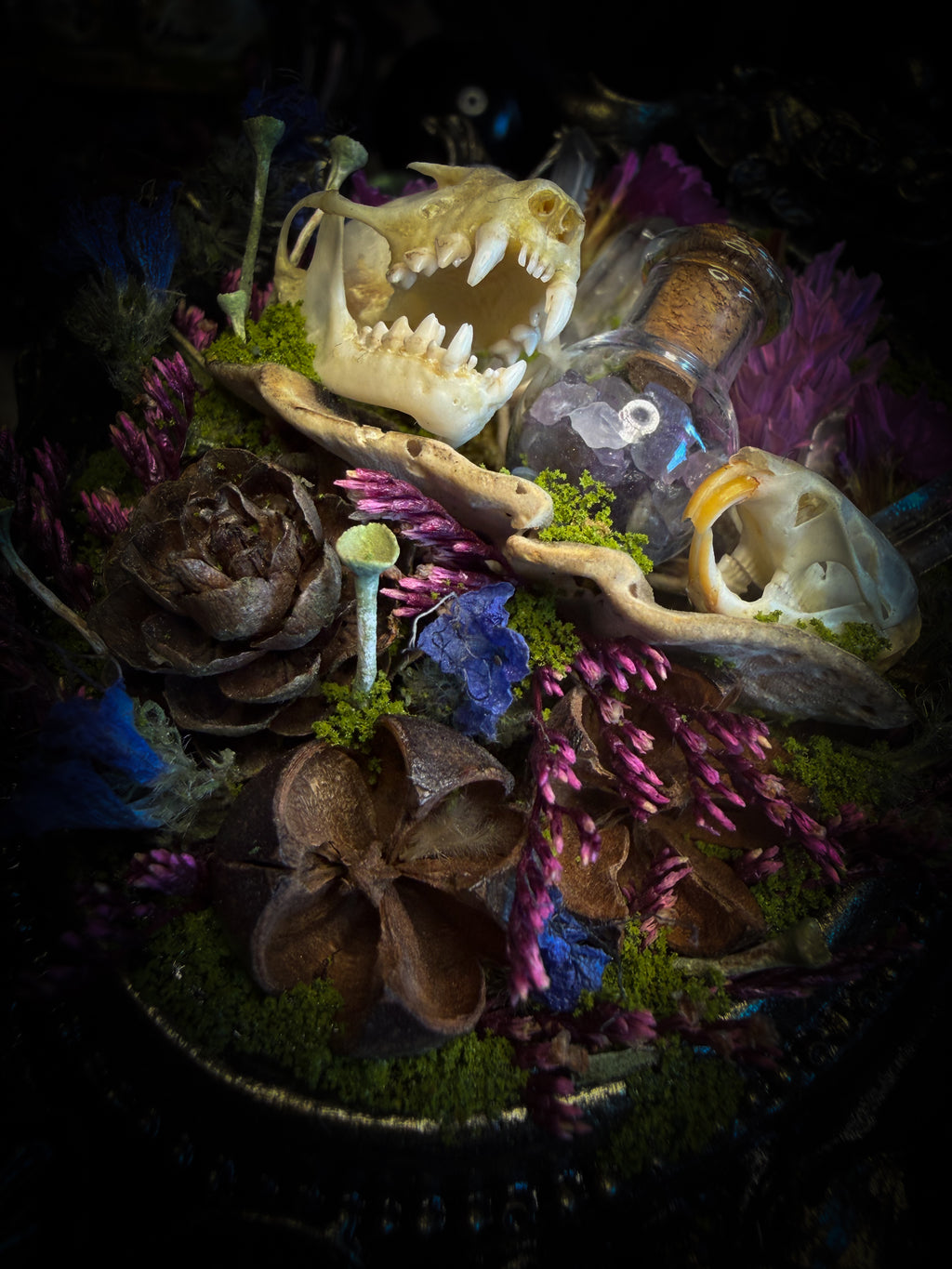 Handmade gothic shadowbox with bat skull, mouse skull and amethyst crystal vial in ornate black and gold frame | Morbid Oddities