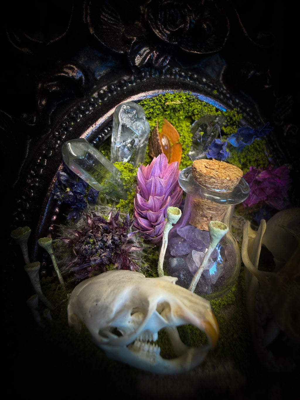 Handmade gothic shadowbox with bat skull, mouse skull and amethyst crystal vial in ornate black and gold frame | Morbid Oddities