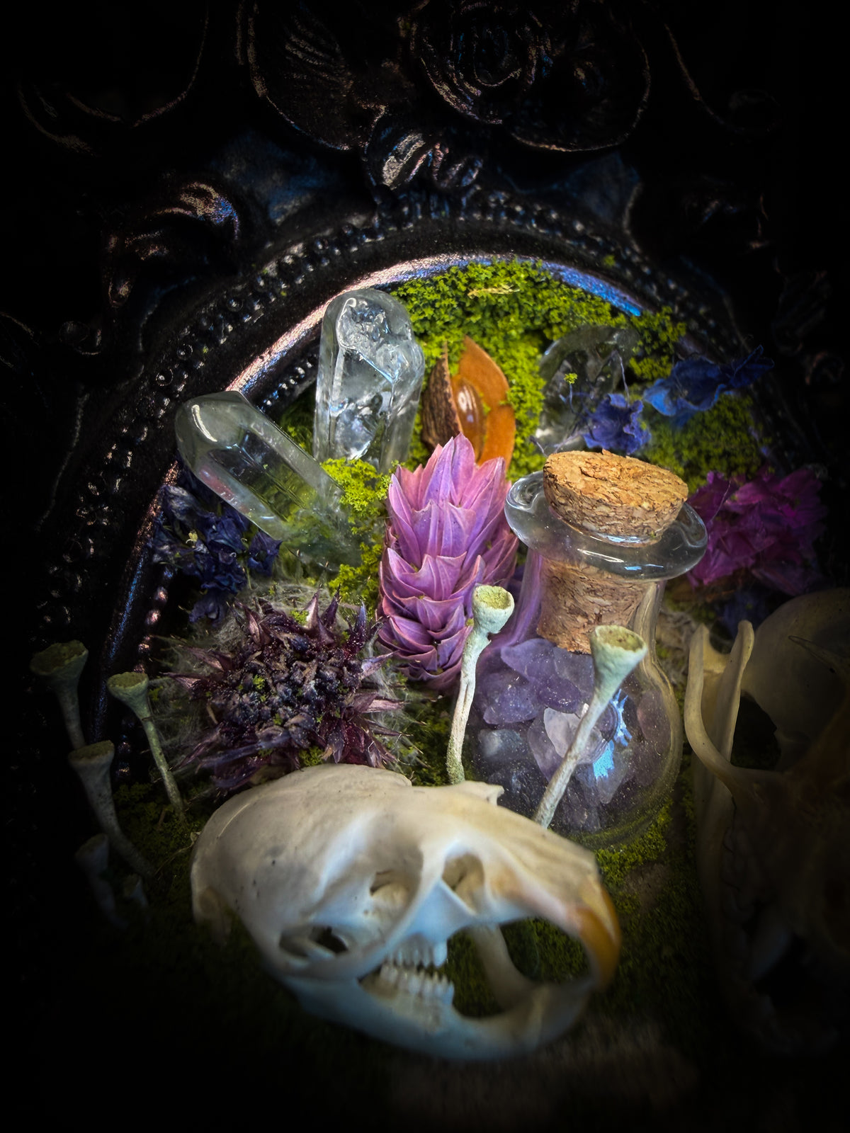 Handmade gothic shadowbox with bat skull, mouse skull and amethyst crystal vial in ornate black and gold frame | Morbid Oddities
