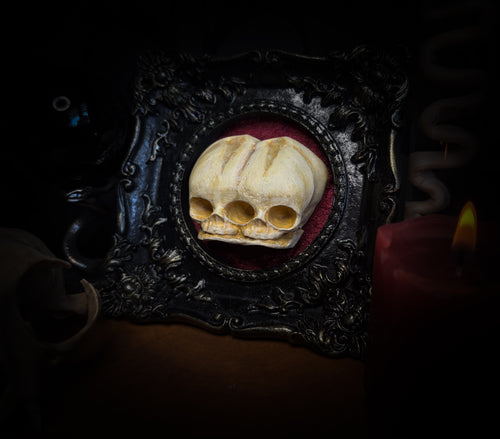 handmade gothic shadowbox conjoined infant skulls hand-cast ornamental frame black velvet dark wall decor