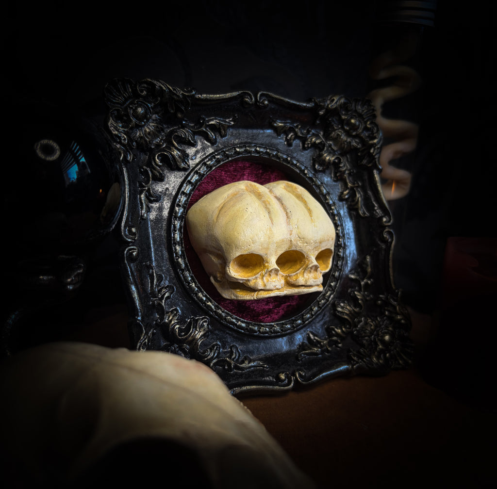 handmade gothic shadowbox conjoined infant skulls hand-cast ornamental frame black velvet dark wall decor