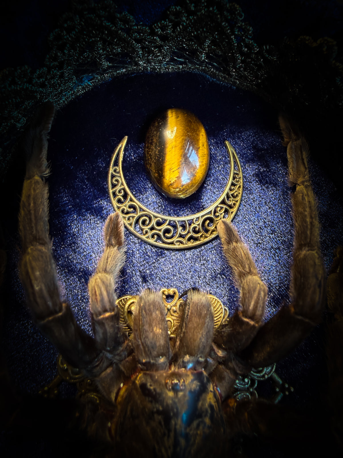 Handmade gothic shadowbox with real tarantula, hand-cast skull, crescent moon and tiger's eye, navy velvet | Morbid Oddities