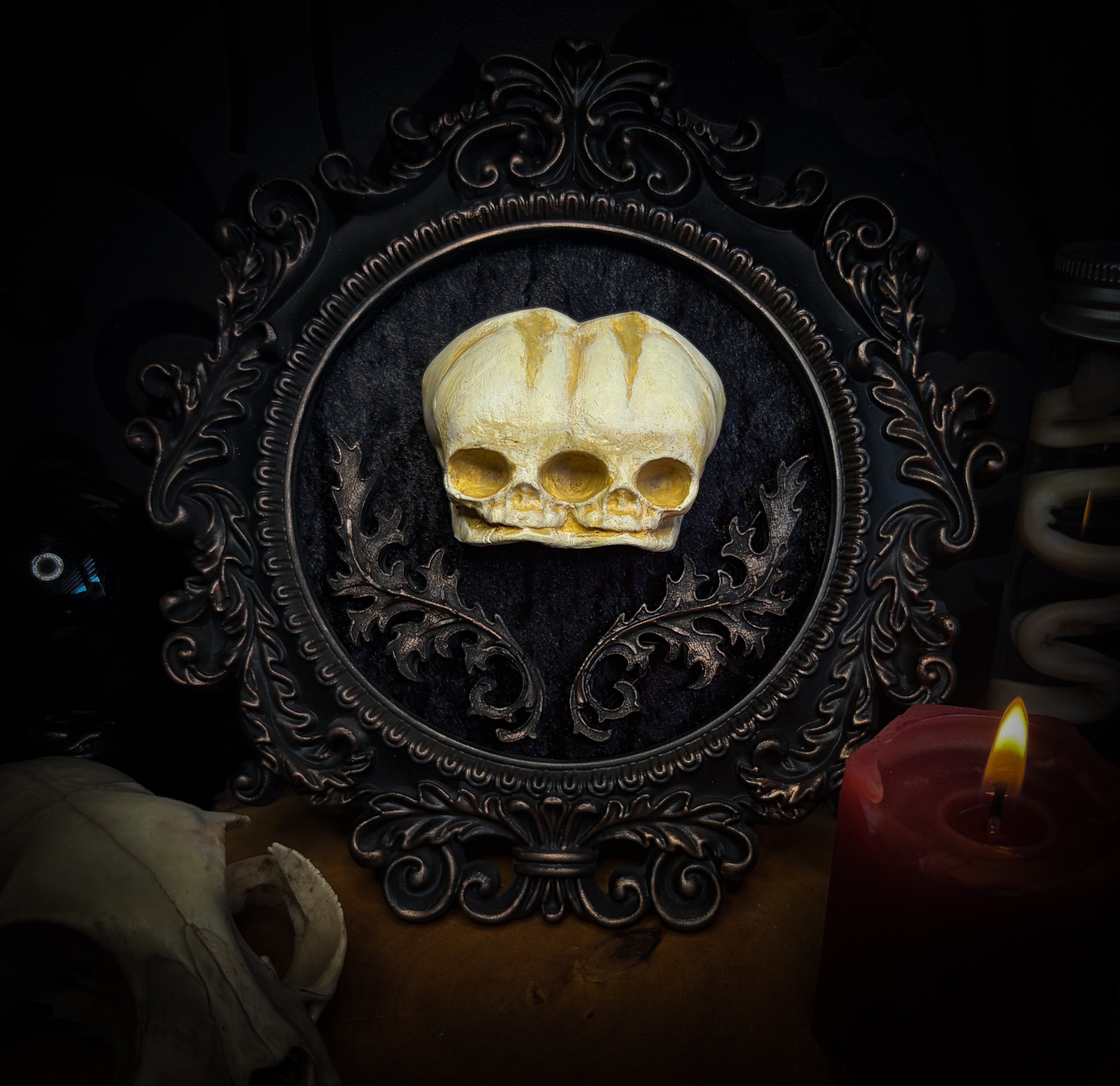Decorative skull in an ornate frame with a lit candle on a dark background handmade gothic shadowbox conjoined infant skulls hand-cast ornamental frame black velvet dark wall decor