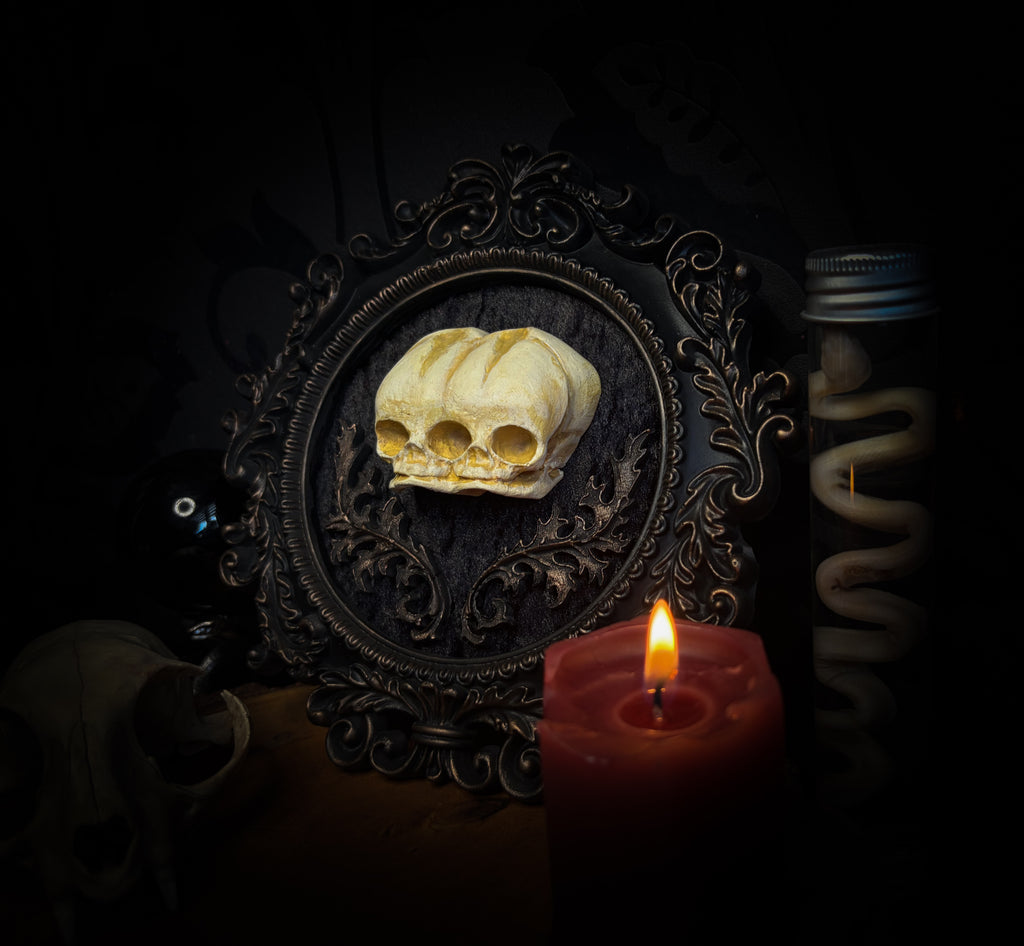 Decorative skull in a frame with a lit candle on a dark background