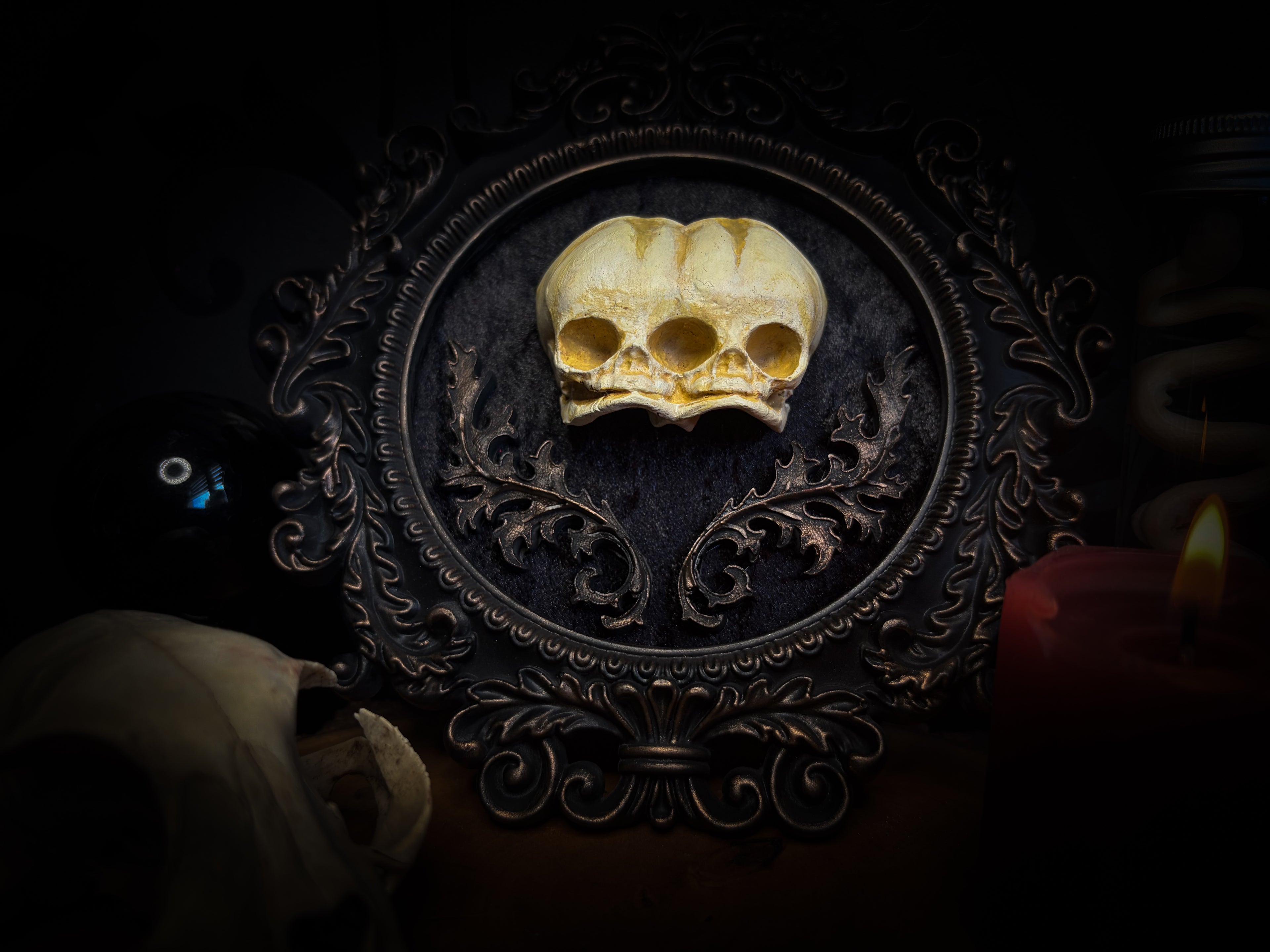 Decorative skull in an ornate frame with a lit candle on a dark background handmade gothic shadowbox conjoined infant skulls hand-cast ornamental frame black velvet dark wall decor