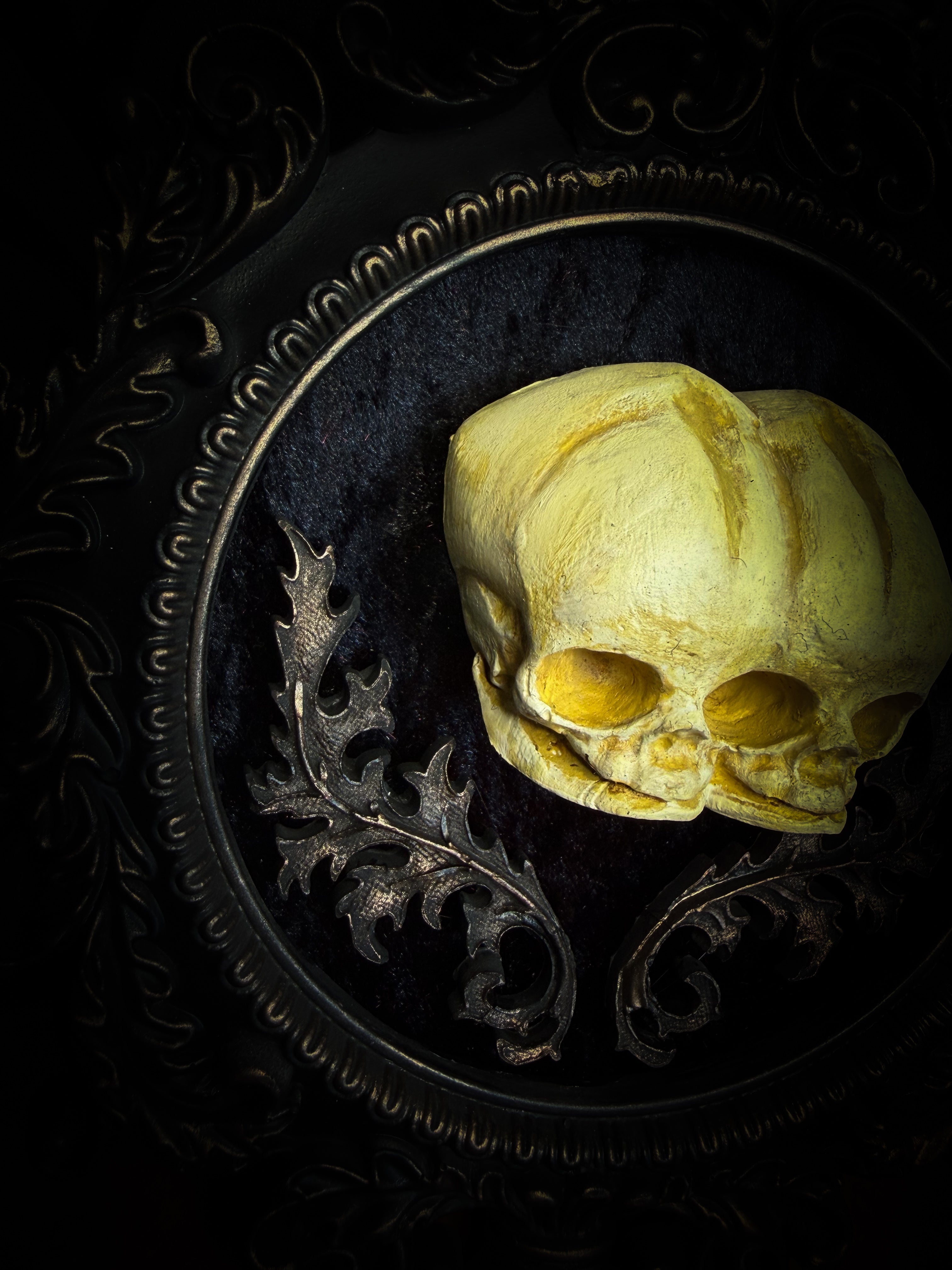 Skull with yellowish tint on a dark background with decorative elements