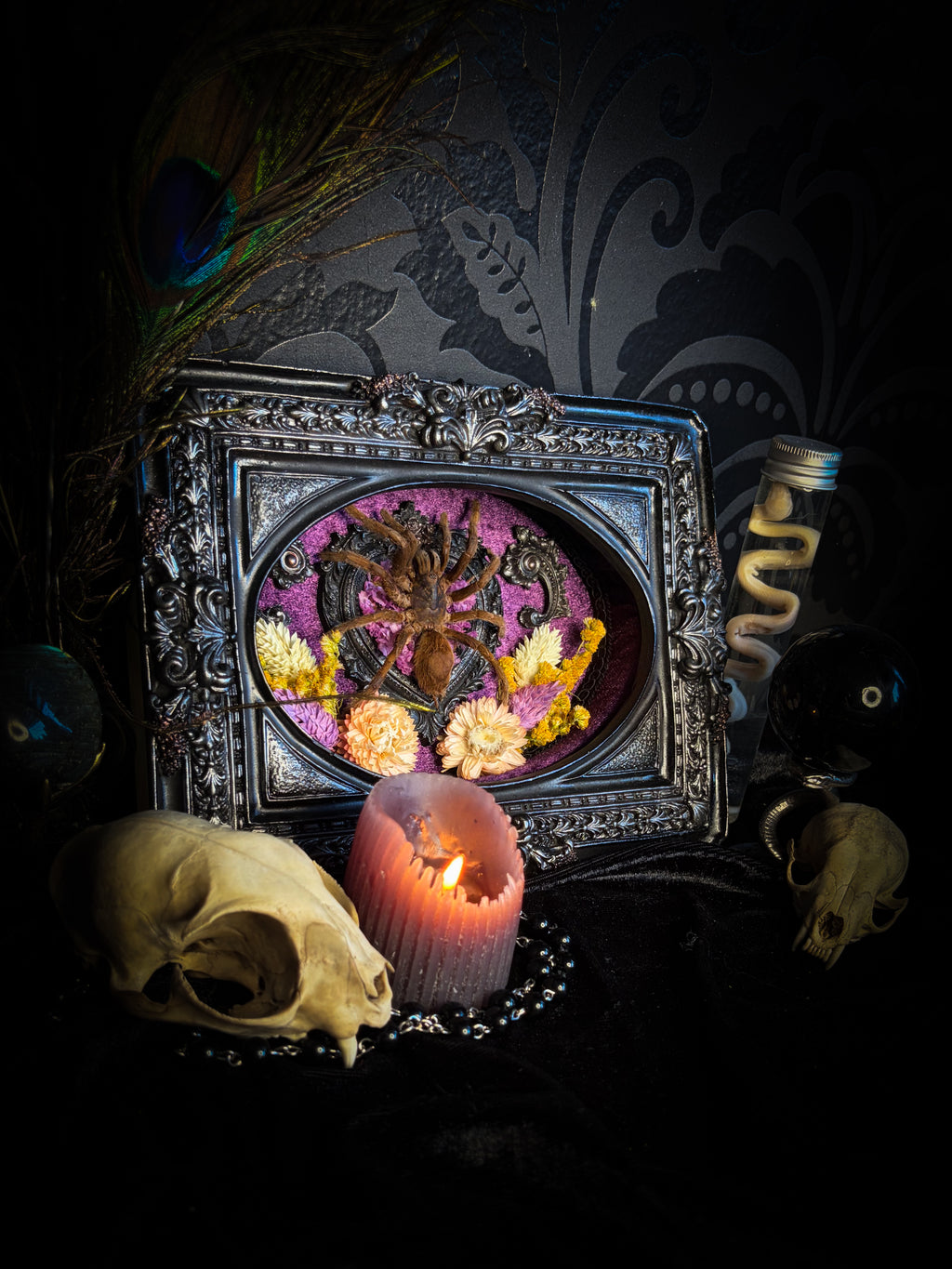 Handmade gothic shadowbox with real tarantula, silver heart frame, violet rose details, black lace and purple velvet | Morbid Oddities