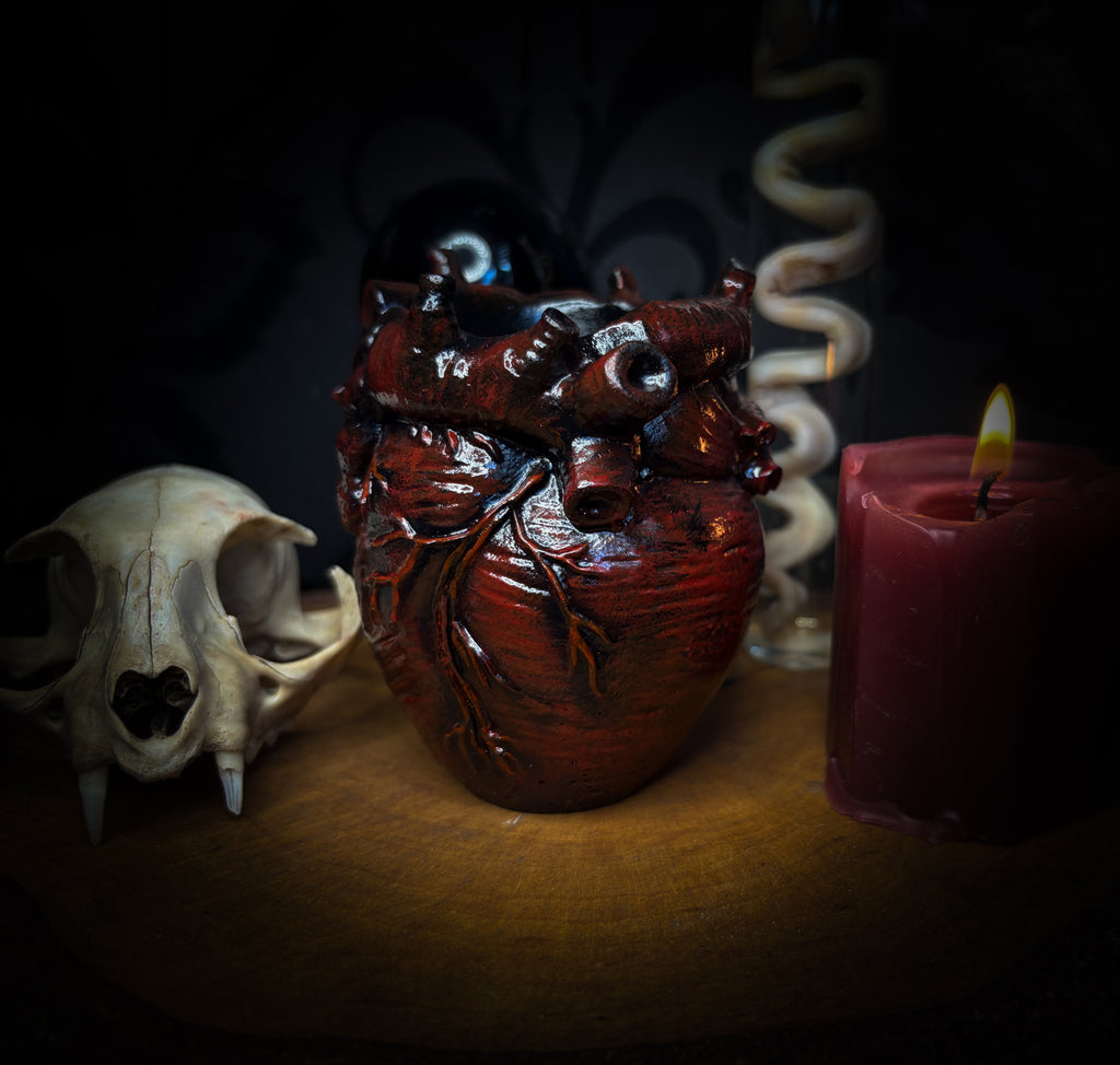 Decorative setup with a skull, heart-shaped container, and lit candle on a dark background handmade gothic anatomical heart vessel hand-painted cast sculpture dark decor