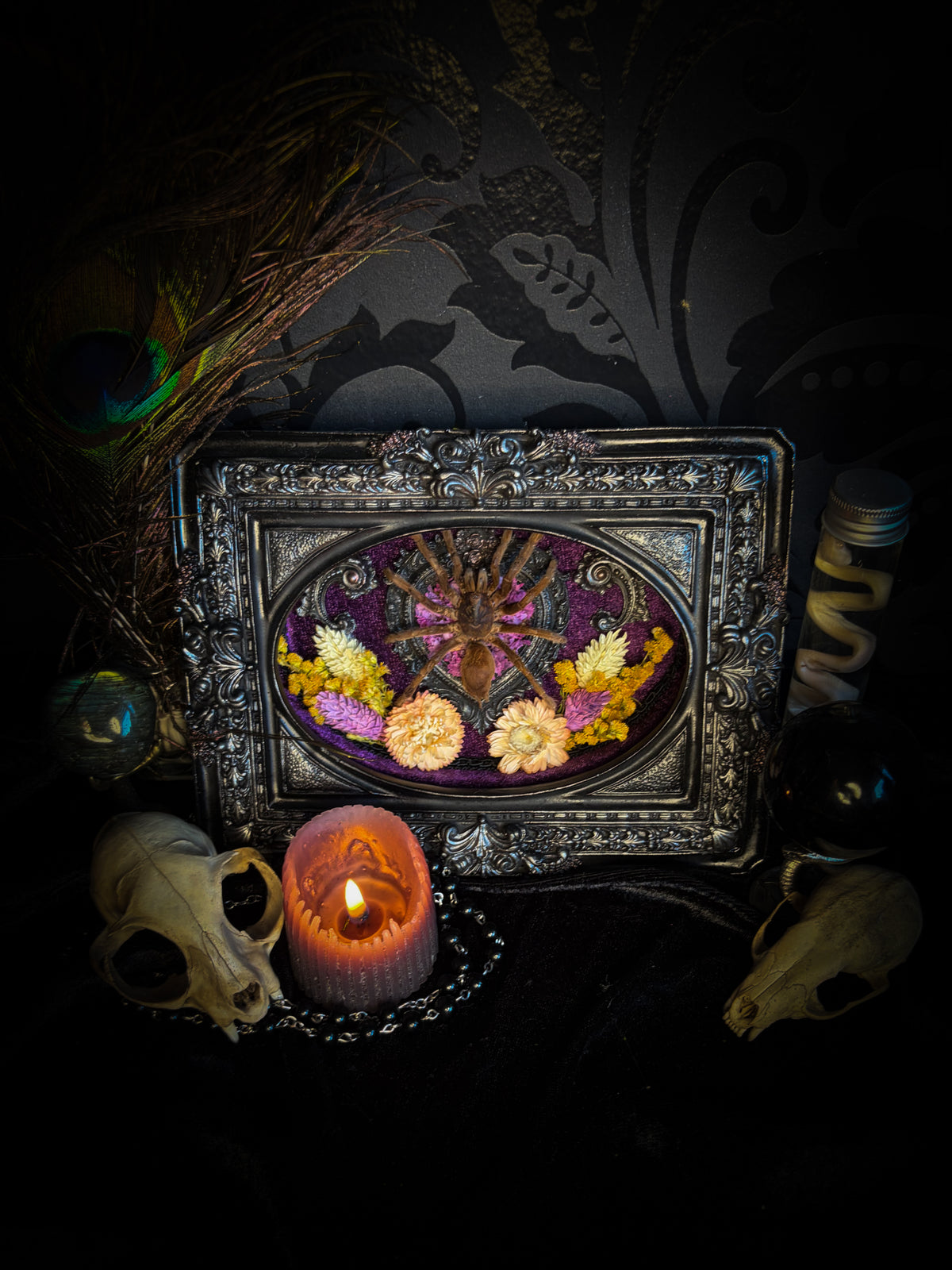 Handmade gothic shadowbox with real tarantula, silver heart frame, violet rose details, black lace and purple velvet | Morbid Oddities