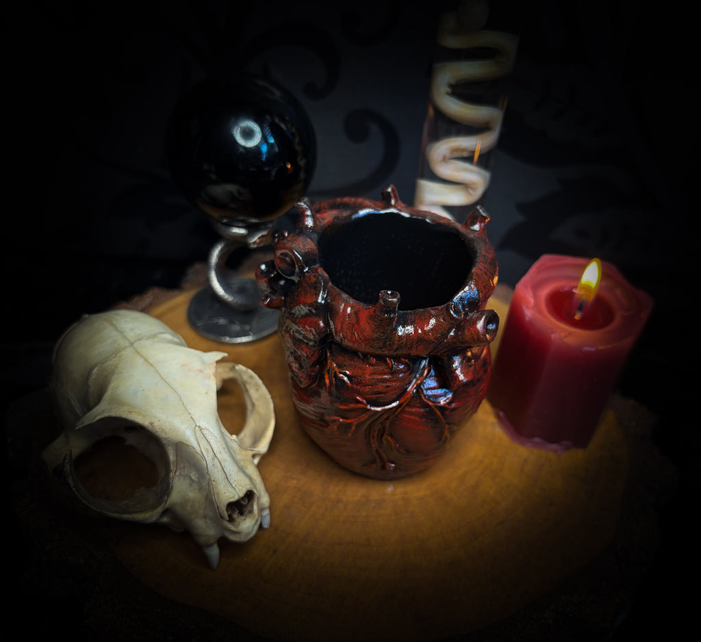 Decorative setup with a skull, heart-shaped container, and lit candle on a dark background handmade gothic anatomical heart vessel hand-painted cast sculpture dark decor
