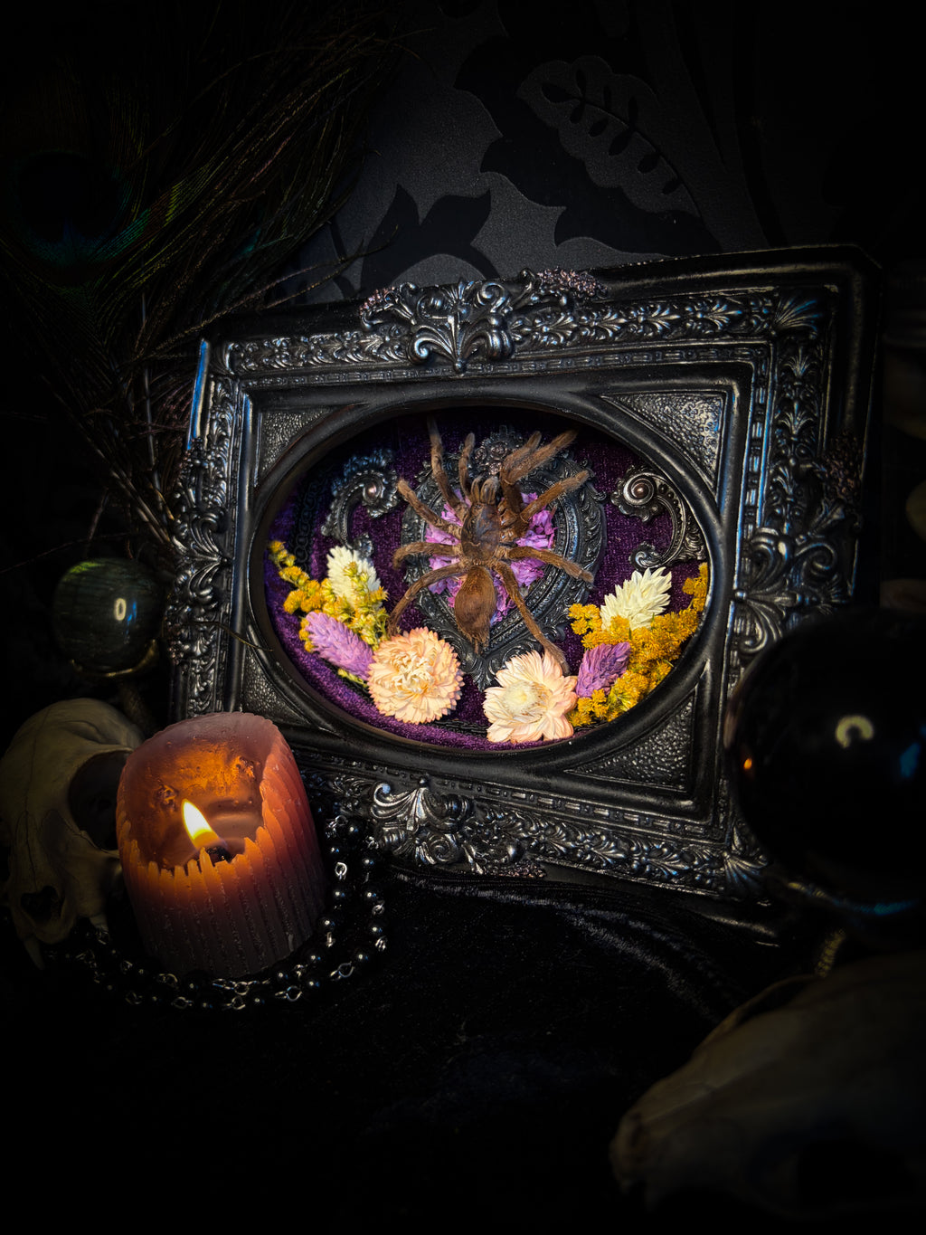 Handmade gothic shadowbox with real tarantula, silver heart frame, violet rose details, black lace and purple velvet | Morbid Oddities