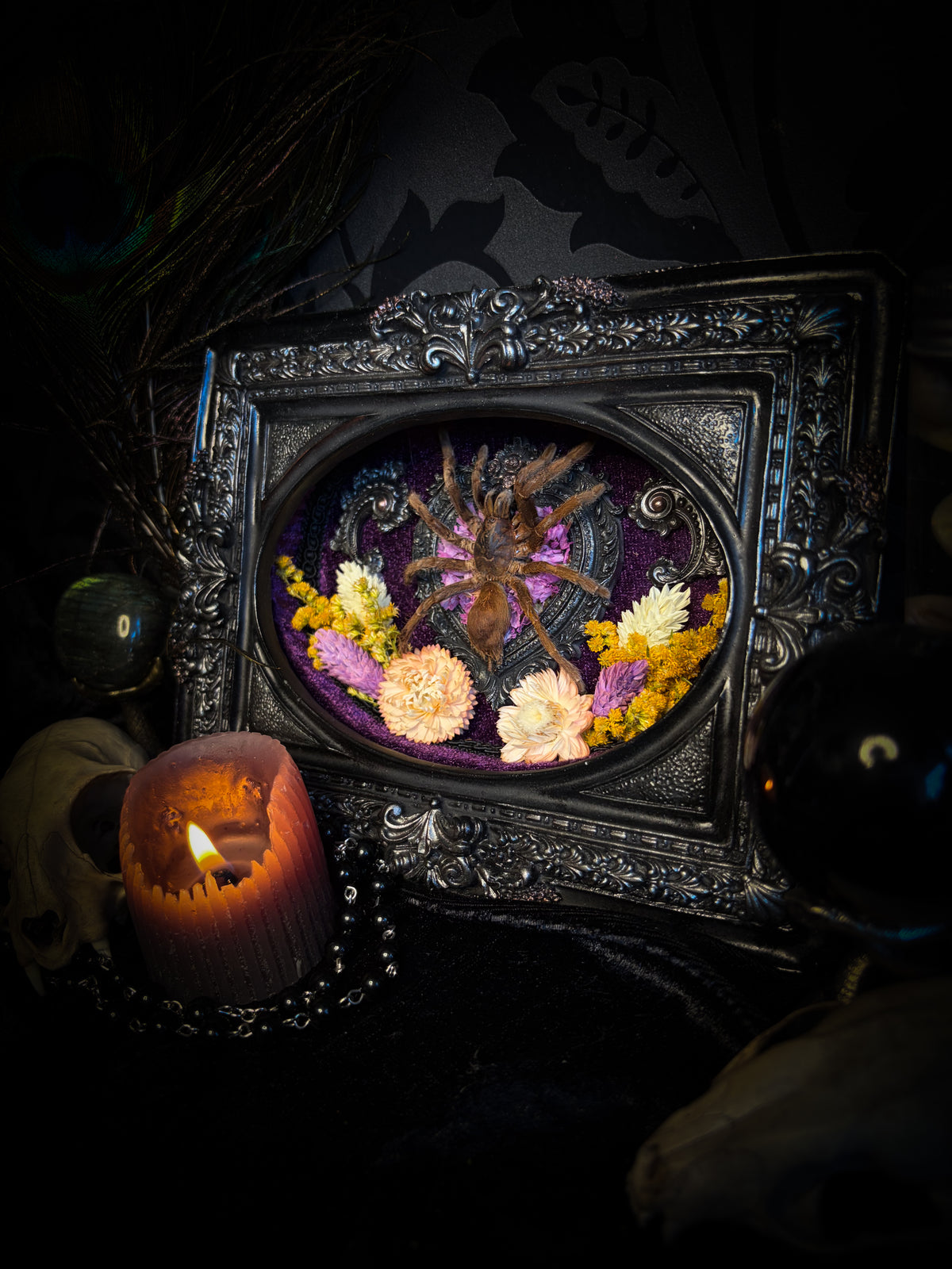 Handmade gothic shadowbox with real tarantula, silver heart frame, violet rose details, black lace and purple velvet | Morbid Oddities