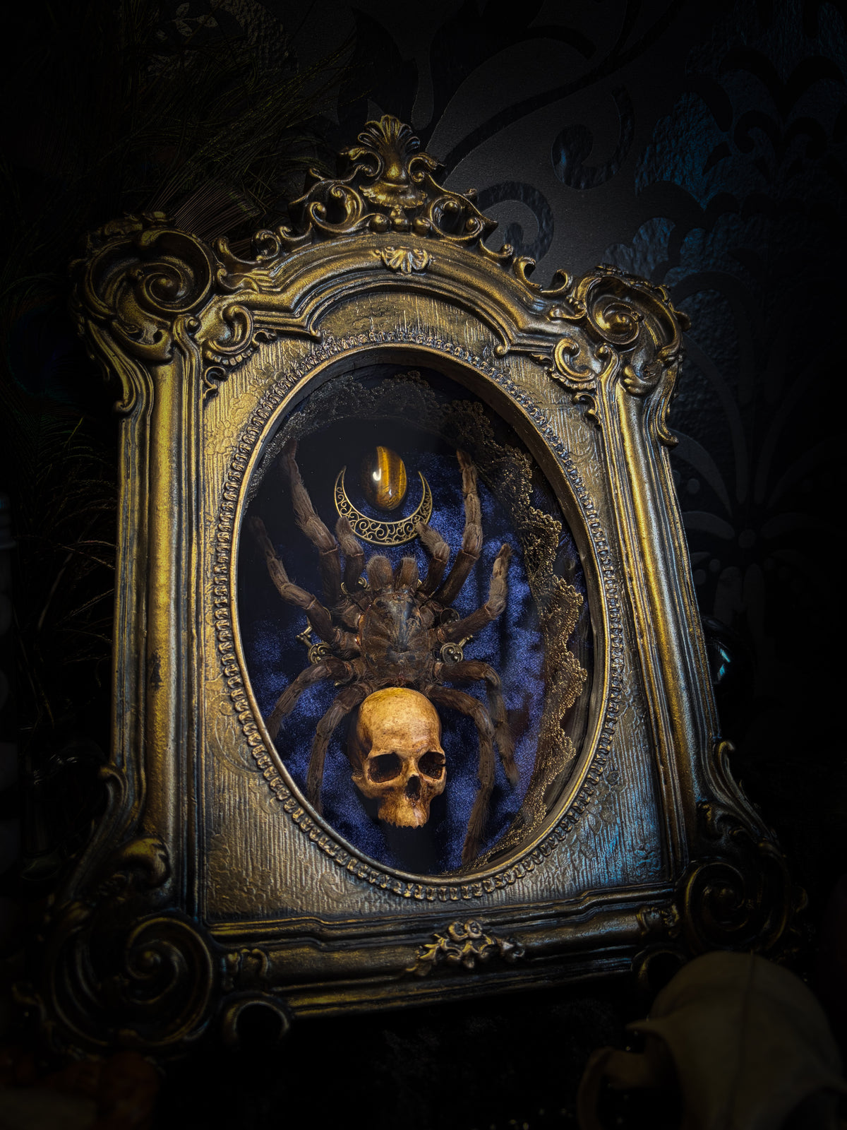 Handmade gothic shadowbox with real tarantula, hand-cast skull, crescent moon and tiger's eye, navy velvet | Morbid Oddities