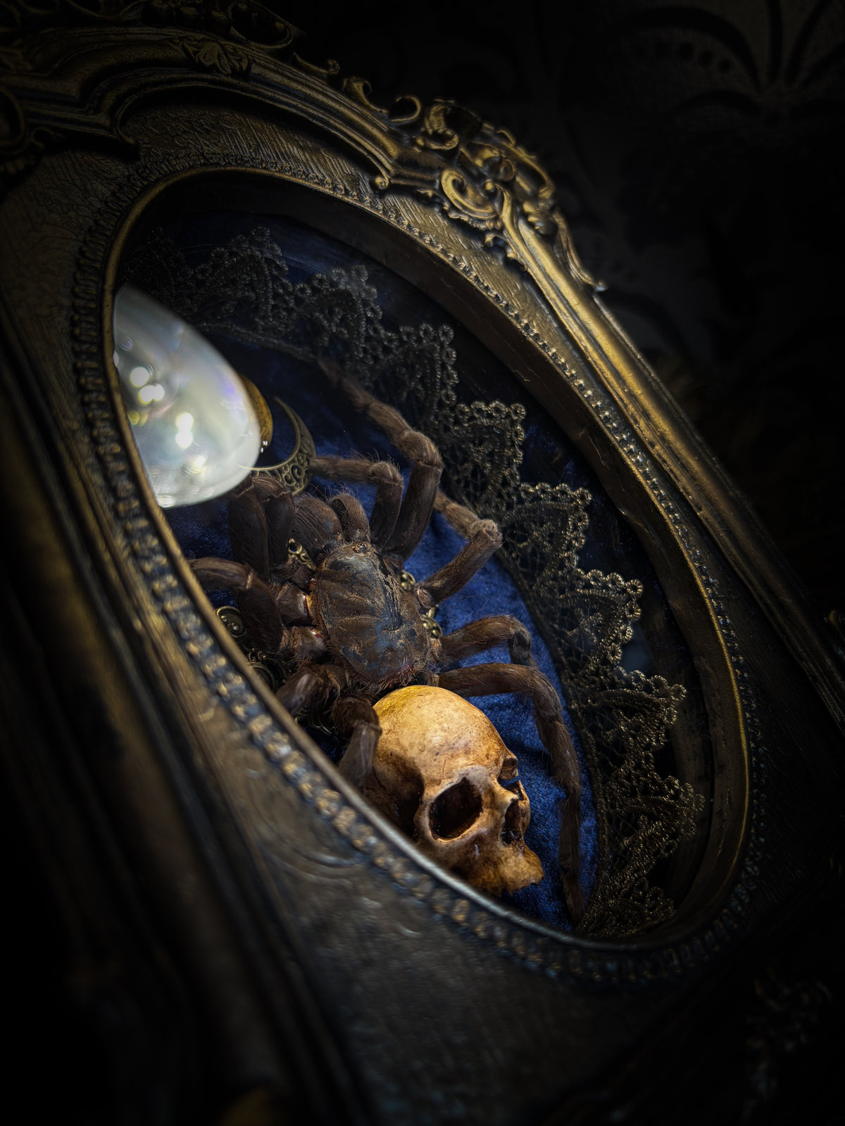 Handmade gothic shadowbox with real tarantula, hand-cast skull, crescent moon and tiger's eye, navy velvet | Morbid Oddities