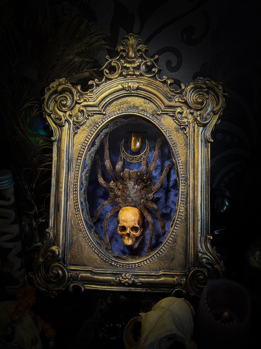 Handmade gothic shadowbox with real tarantula, hand-cast skull, crescent moon and tiger's eye, navy velvet | Morbid Oddities