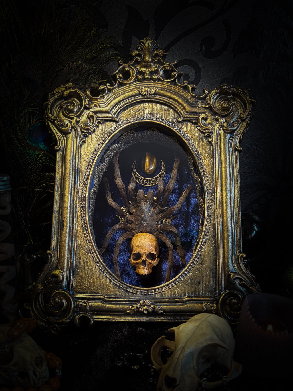 Handmade gothic shadowbox with real tarantula, hand-cast skull, crescent moon and tiger's eye, navy velvet | Morbid Oddities