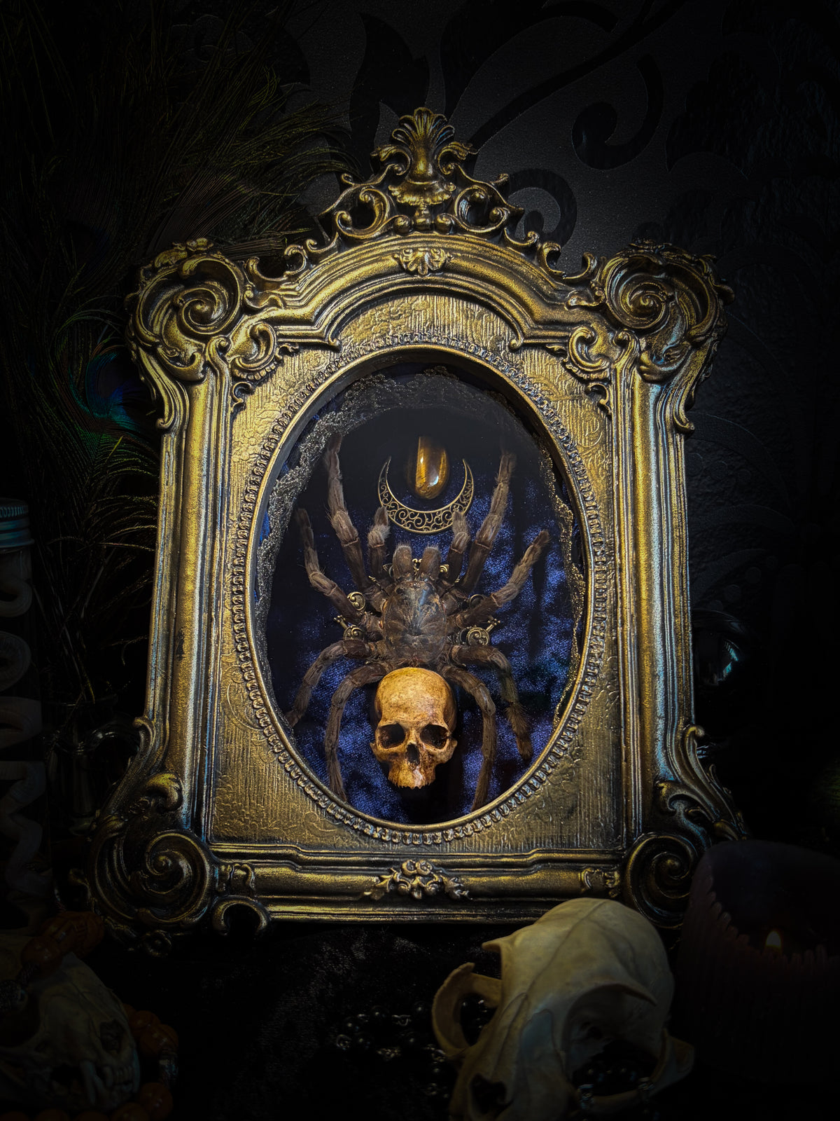Handmade gothic shadowbox with real tarantula, hand-cast skull, crescent moon and tiger's eye, navy velvet | Morbid Oddities