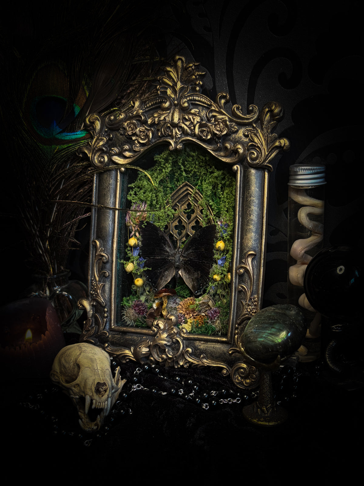Handmade gothic shadowbox with preserved Charaxes ethalion butterfly, mosses and fungi in ornate gold frame with gothic tracery | Morbid Oddities