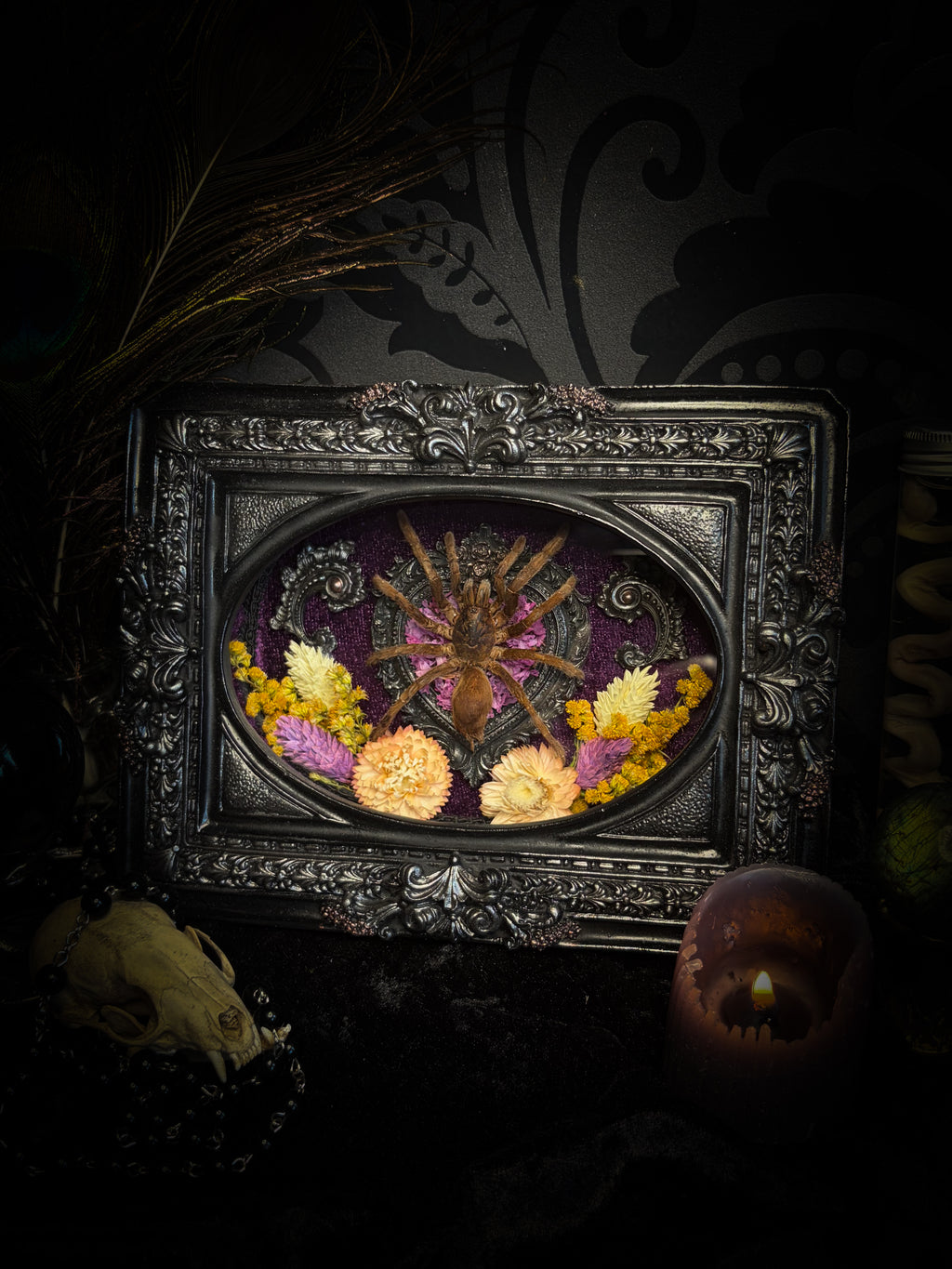 Handmade gothic shadowbox with real tarantula, silver heart frame, violet rose details, black lace and purple velvet | Morbid Oddities