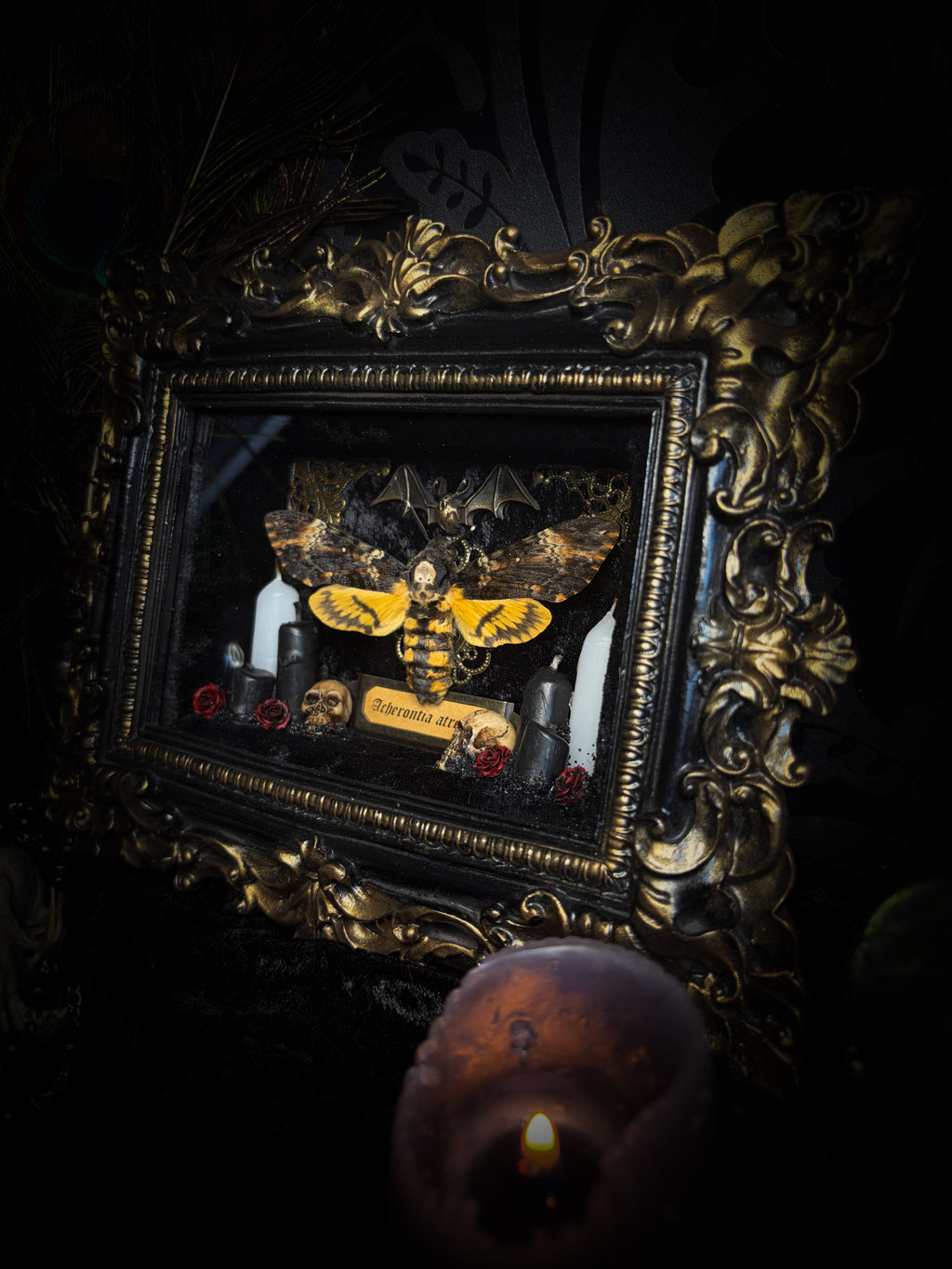 Handmade gothic shadowbox with real Acherontia atropos death's-head hawk-moth, skulls, wax roses and gold bat in ornate black and gold frame | Morbid Oddities