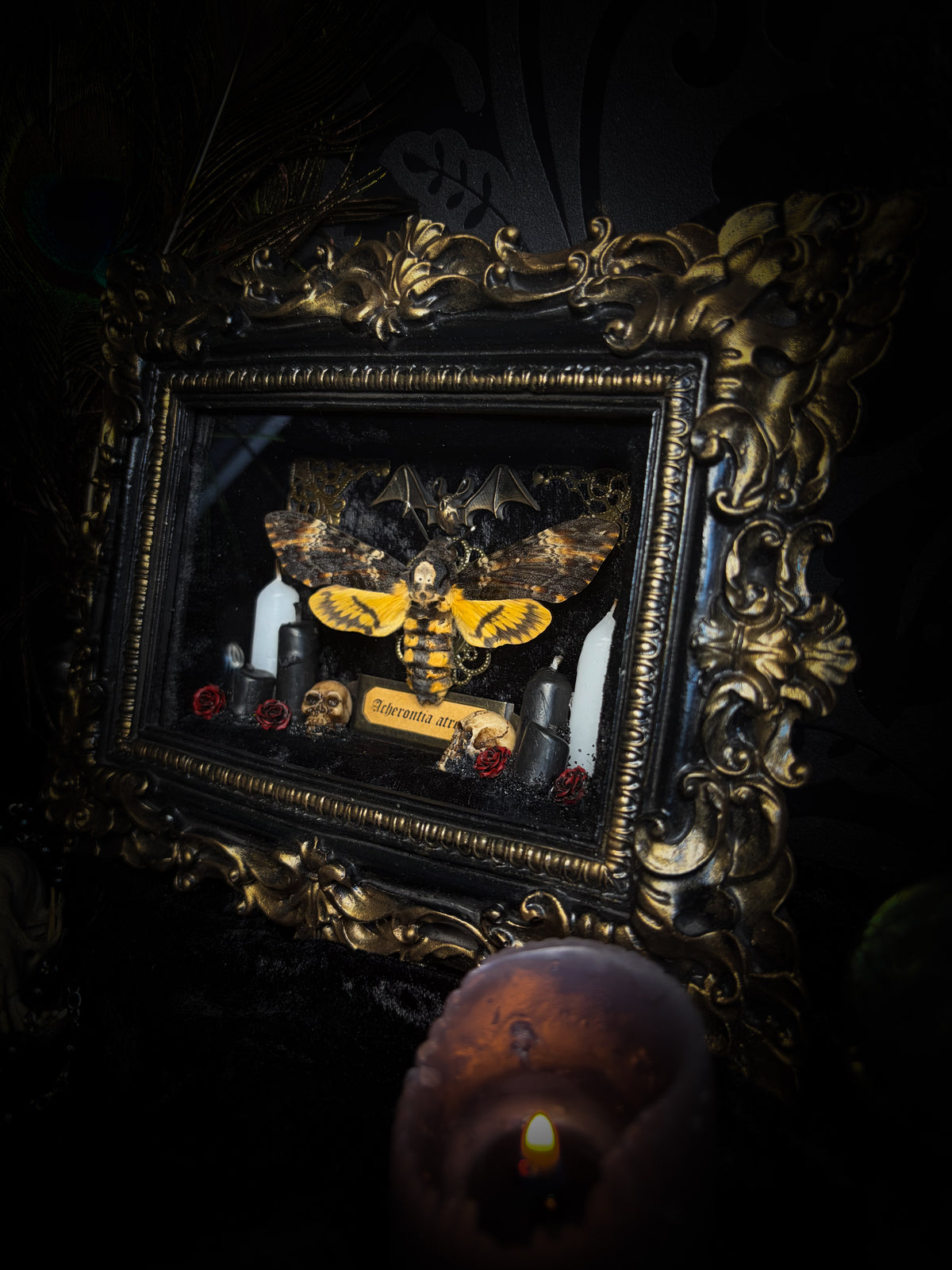 Handmade gothic shadowbox with real Acherontia atropos death's-head hawk-moth, skulls, wax roses and gold bat in ornate black and gold frame | Morbid Oddities