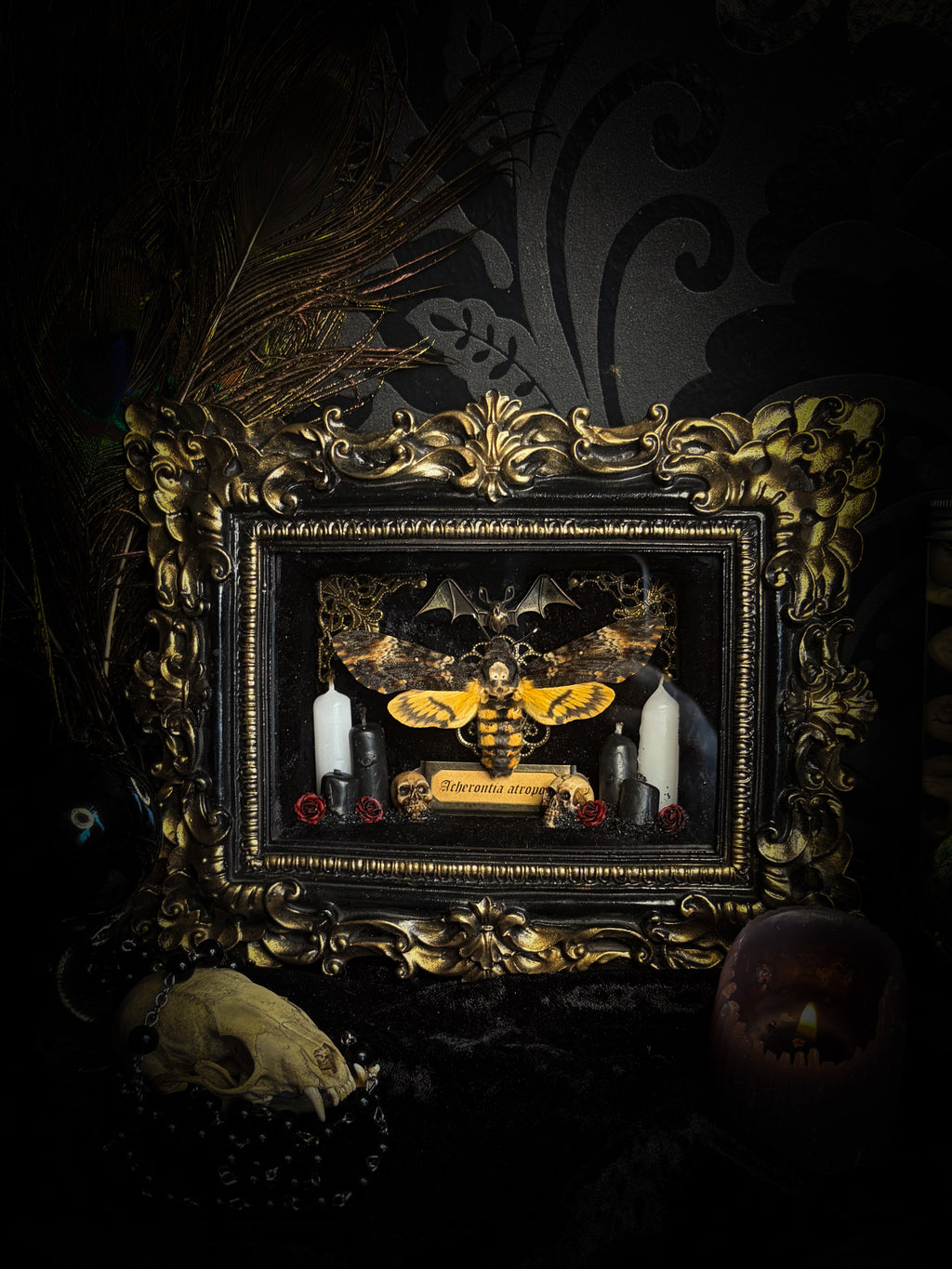 Handmade gothic shadowbox with real Acherontia atropos death's-head hawk-moth, skulls, wax roses and gold bat in ornate black and gold frame | Morbid Oddities