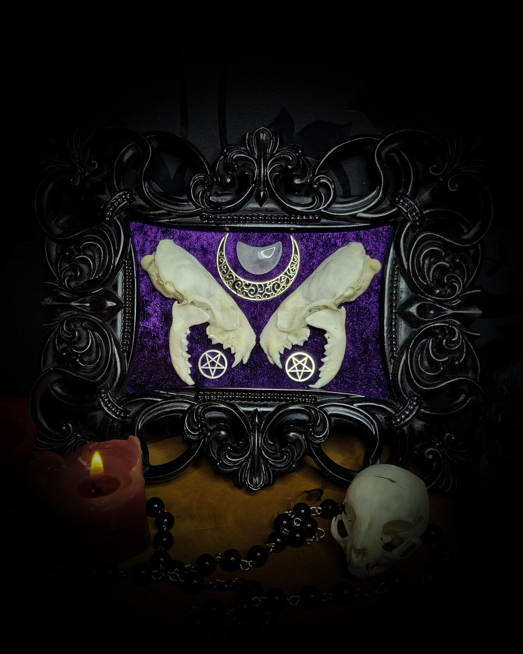 Lunaris Divination | Gothic — handmade gothic wall decor with real mink skull halved symmetrically, crystal quartz crescent moon, pentacle charms on deep purple velvet in ornate black baroque frame, 20x16cm