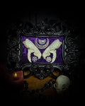 Lunaris Divination | Gothic — handmade gothic wall decor with real mink skull halved symmetrically, crystal quartz crescent moon, pentacle charms on deep purple velvet in ornate black baroque frame, 20x16cm