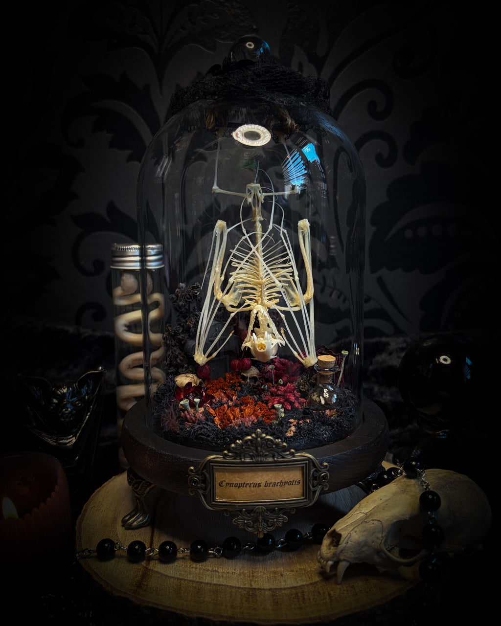 Autumnal Cemetery | Bats — handmade bat skeleton glass dome with autumnal botanicals, gothic decor by Morbid Oddities
