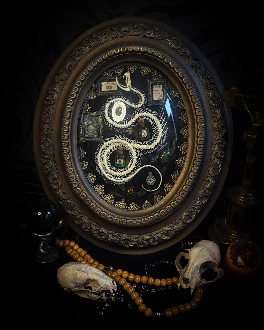 Gothic oval shadowbox with real snake skeleton, preserved Cetonia aurata beetles with spread wings, poison vials and hand-painted toxin frames in antique bubble glass frame — Venenum Apothecaria by Morbid Oddities