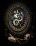 Gothic oval shadowbox with real snake skeleton, preserved Cetonia aurata beetles with spread wings, poison vials and hand-painted toxin frames in antique bubble glass frame — Venenum Apothecaria by Morbid Oddities