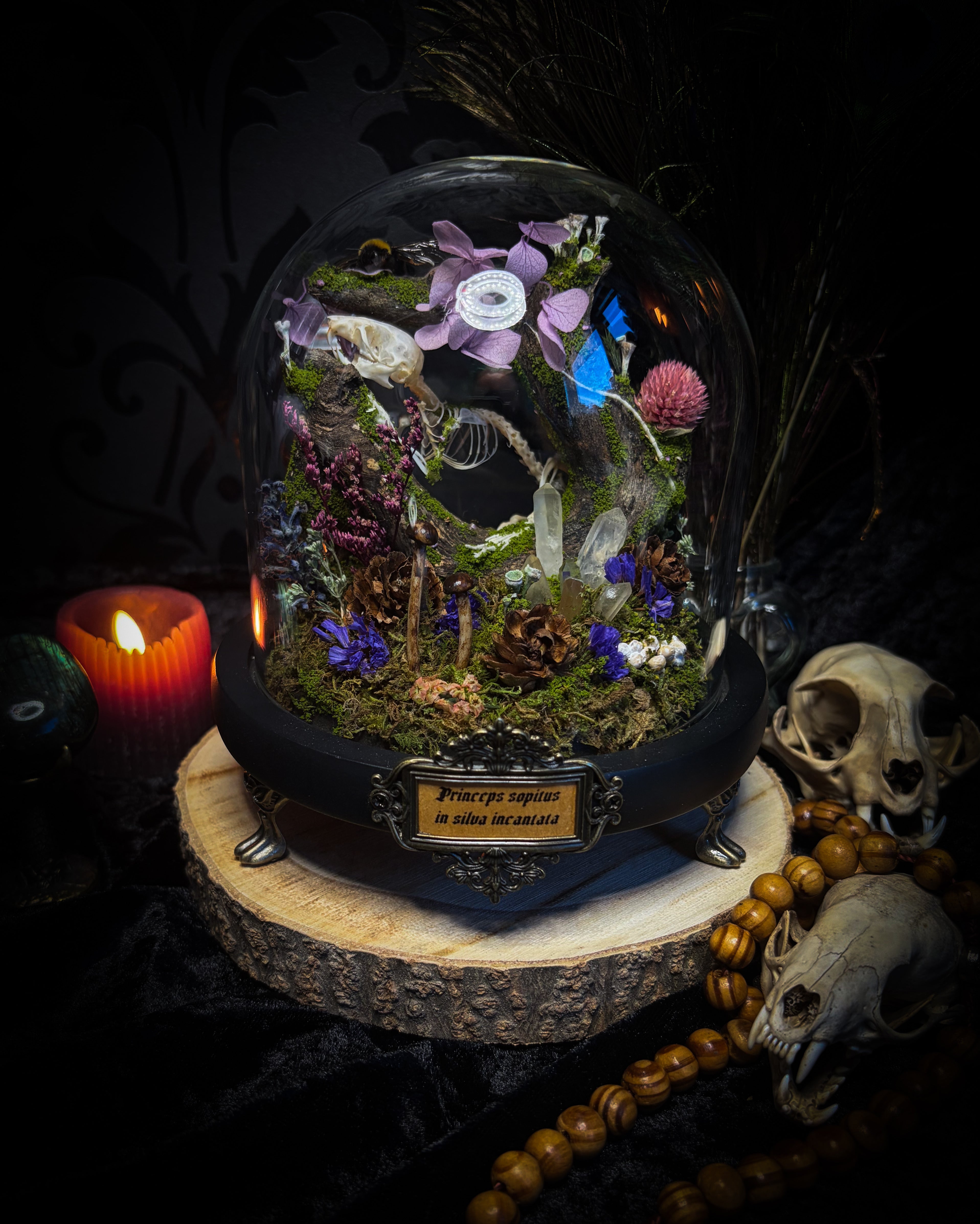The Bumblebee's Garden | handmade whimsical glass dome with real bumblebee, mouse skeleton, moss, pine cones, mushrooms, pink violet and white dried flowers | Morbid Oddities
