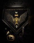 Moonlit Bat | Shadowbox — massive handmade black wooden shadowbox with a half-mummified, half-skeletal bat, three quartz moons, black velvet and gold lace.