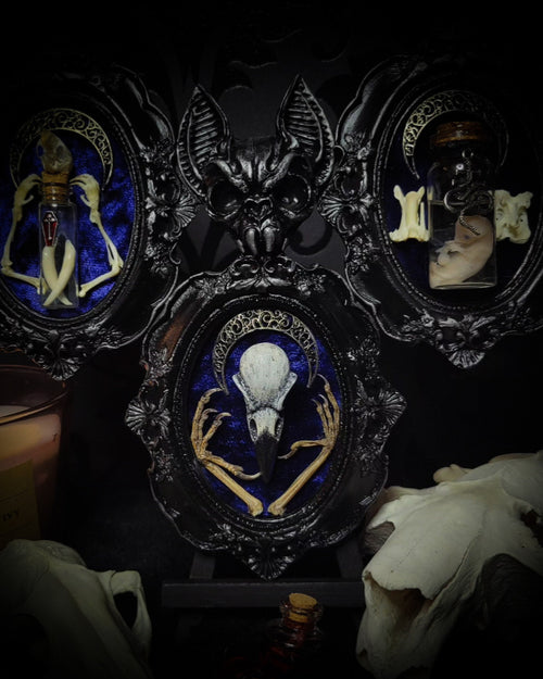 Decorative wall art with skull and animal figure in ornate frames on a dark background handmade gothic triptych with raven skull bat bones preserved specimens navy velvet dark occult wall decor