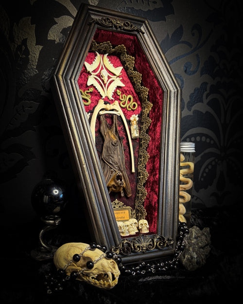 Bat Wooden Coffins — handmade gothic coffin shadowbox, made to order. Handbuilt wooden coffin frame with bat specimen, velvet background, ornate decorations and ritual details. Dark gothic wall and altar decor, made from scratch.