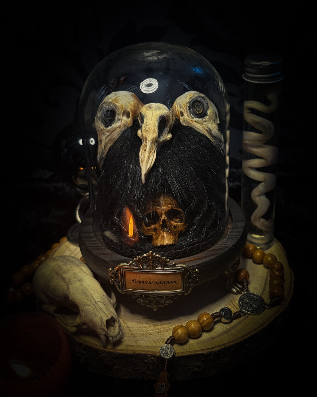 Morbid Oddities — handmade gothic glass dome with three mummified pigeon heads, black fur, hand-painted human skull and ornate nameplate inscribed Requiem Aeternam
