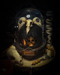 Morbid Oddities — handmade gothic glass dome with three mummified pigeon heads, black fur, hand-painted human skull and ornate nameplate inscribed Requiem Aeternam