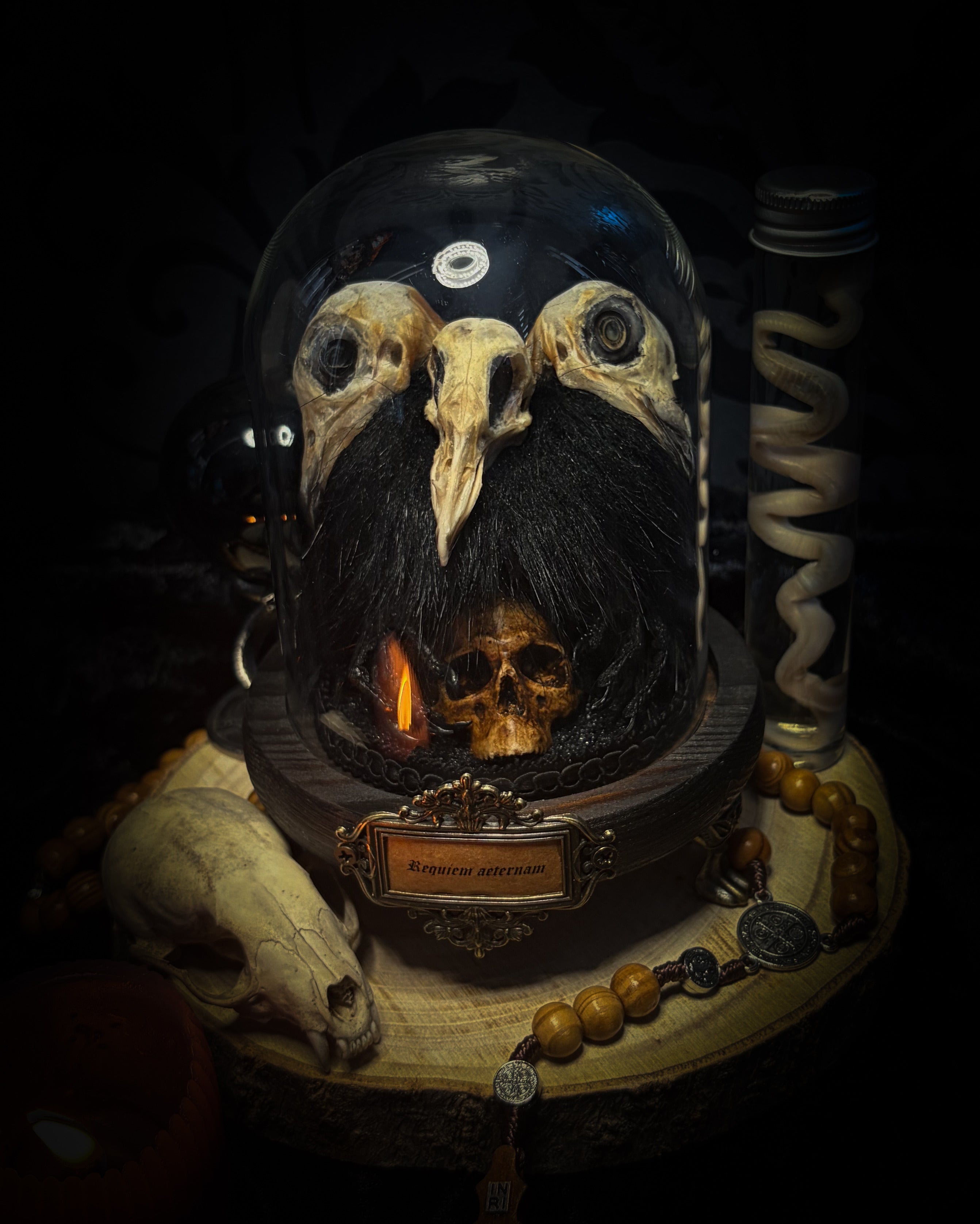 Morbid Oddities — handmade gothic glass dome with three mummified pigeon heads, black fur, hand-painted human skull and ornate nameplate inscribed Requiem Aeternam