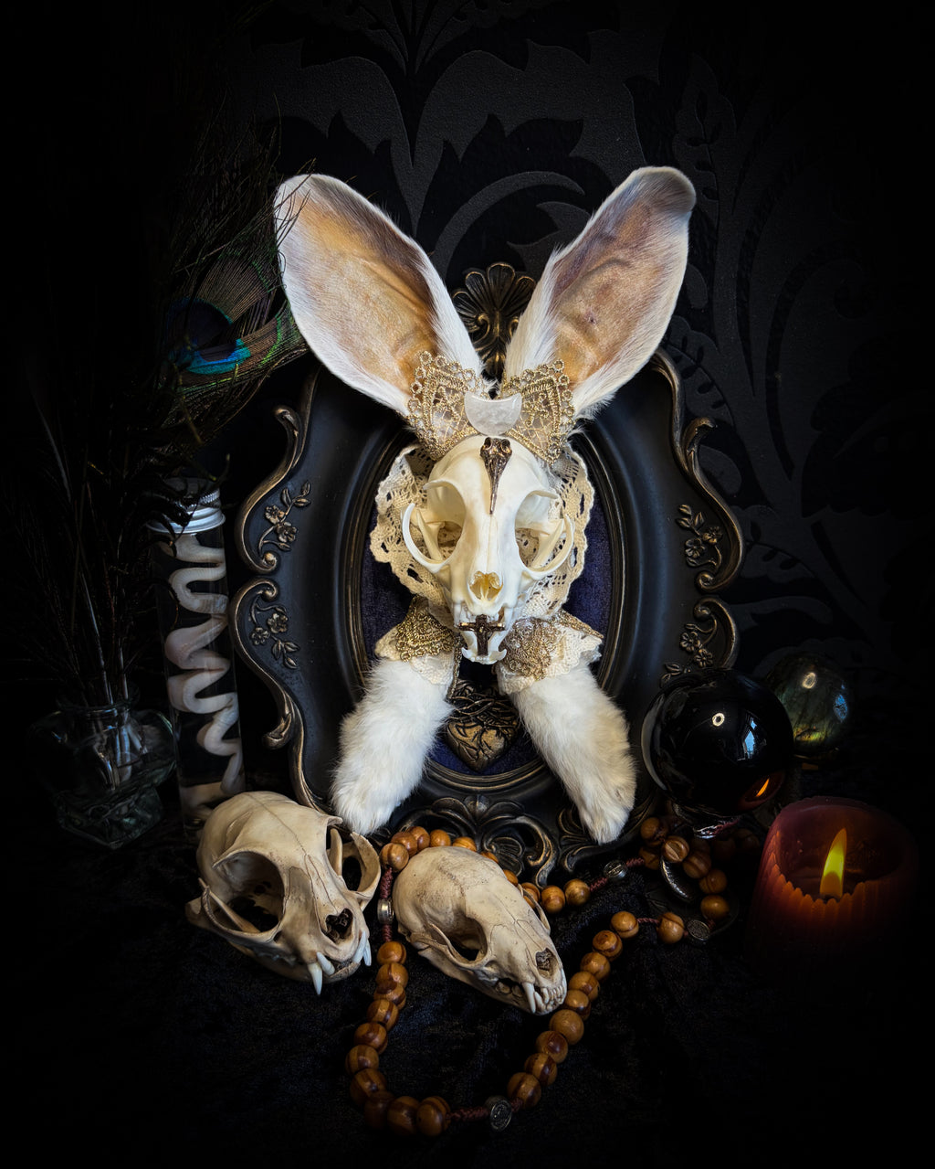 Christ Superstar | handmade Bunny Kitten puppet frame with real cat skull, albino rabbit ears and feet, golden Sacred Heart with thorns, white and gold lace, cross, white quartz moon, raven and deep navy gathered velvet in hand-cast painted baroque frame | Morbid Oddities
