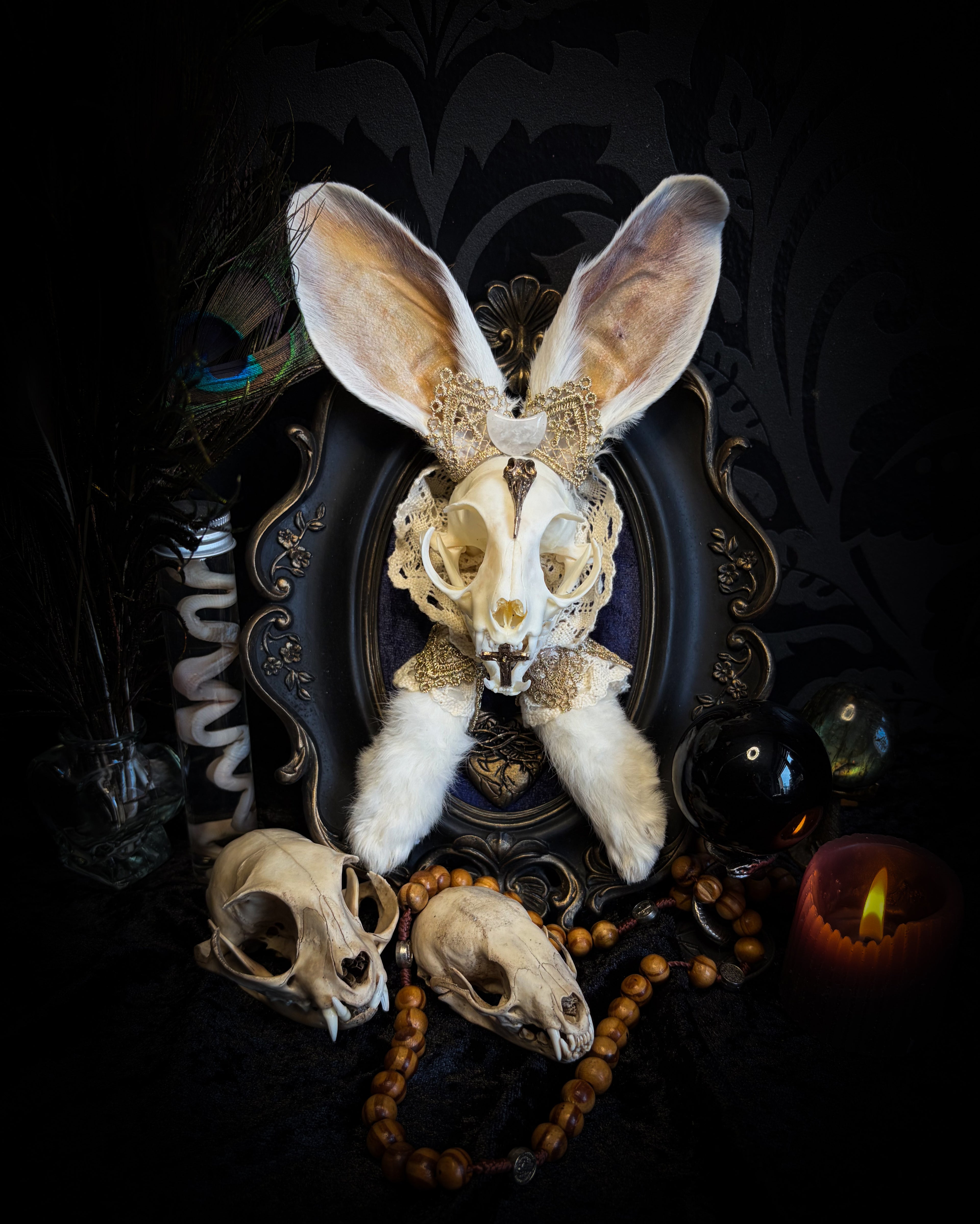 Christ Superstar | handmade Bunny Kitten puppet frame with real cat skull, albino rabbit ears and feet, golden Sacred Heart with thorns, white and gold lace, cross, white quartz moon, raven and deep navy gathered velvet in hand-cast painted baroque frame | Morbid Oddities
