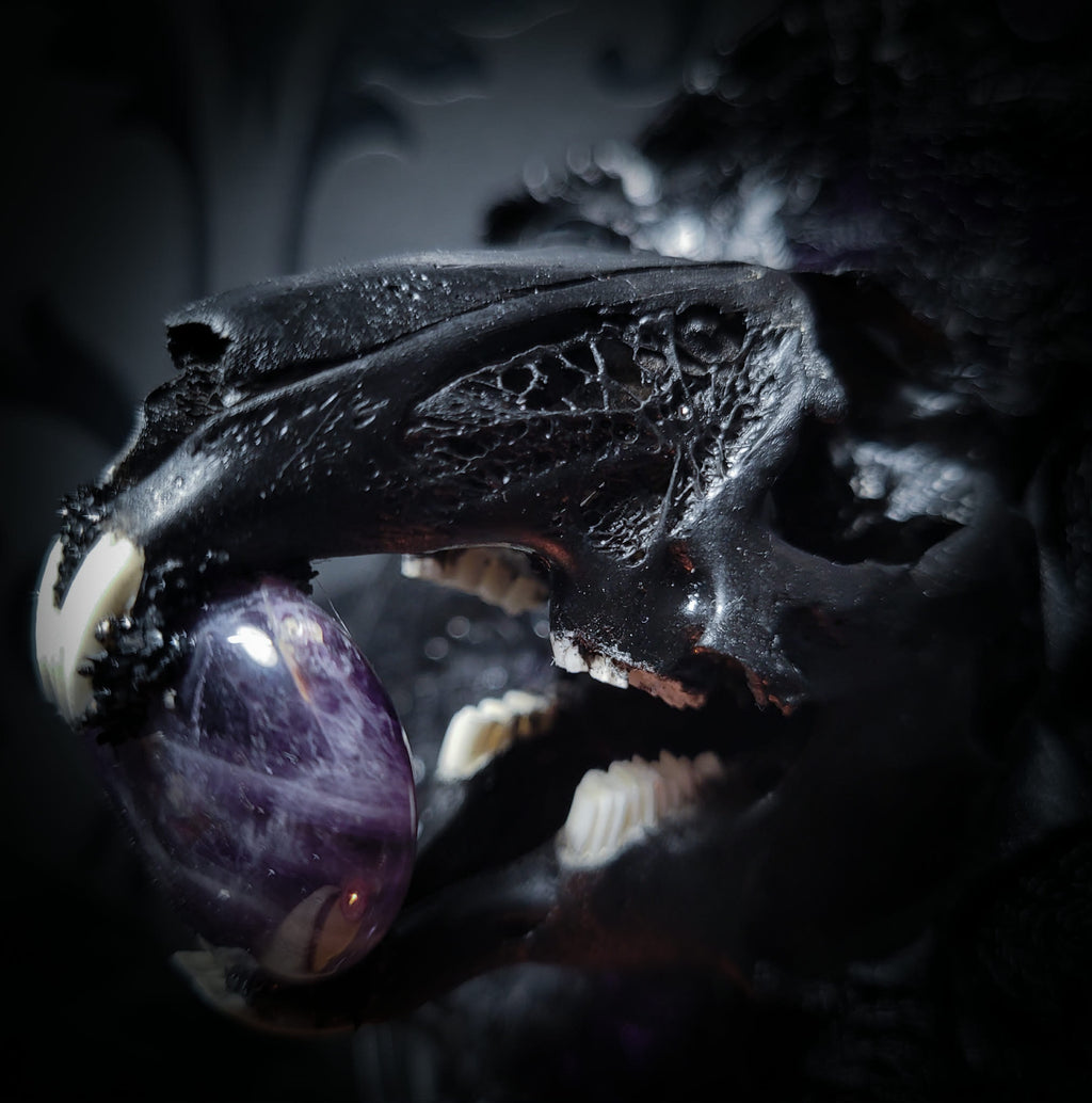 Handmade gothic shadowbox — black rabbit skull with amethyst heart, crushed purple velvet, ornate baroque frame, 19x15cm