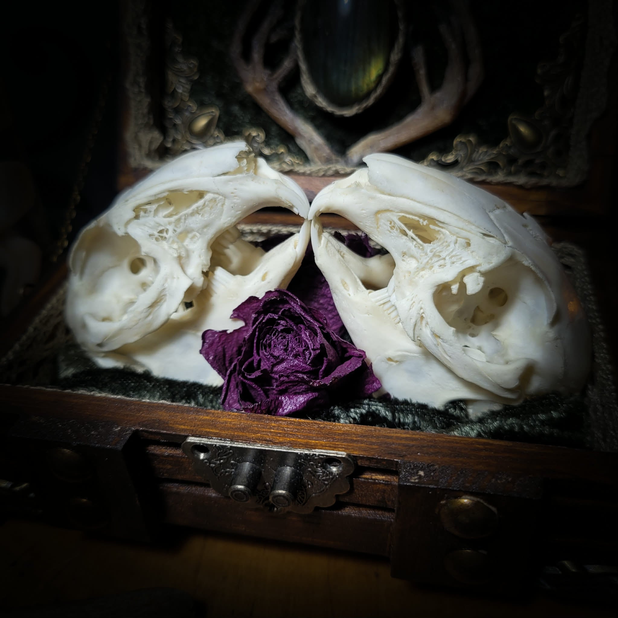 handmade gothic witch wall decor dark romantic floral